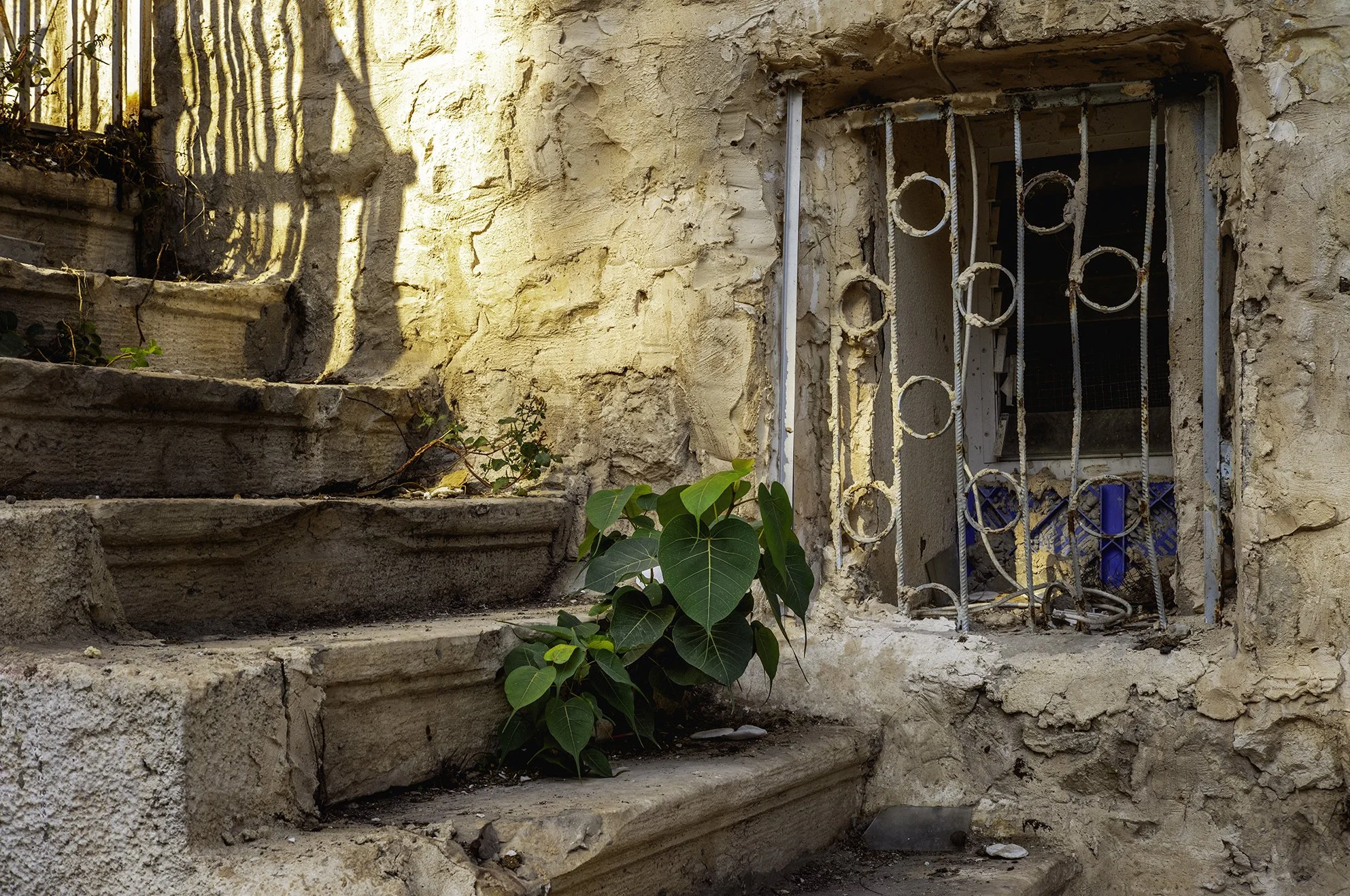 Window.