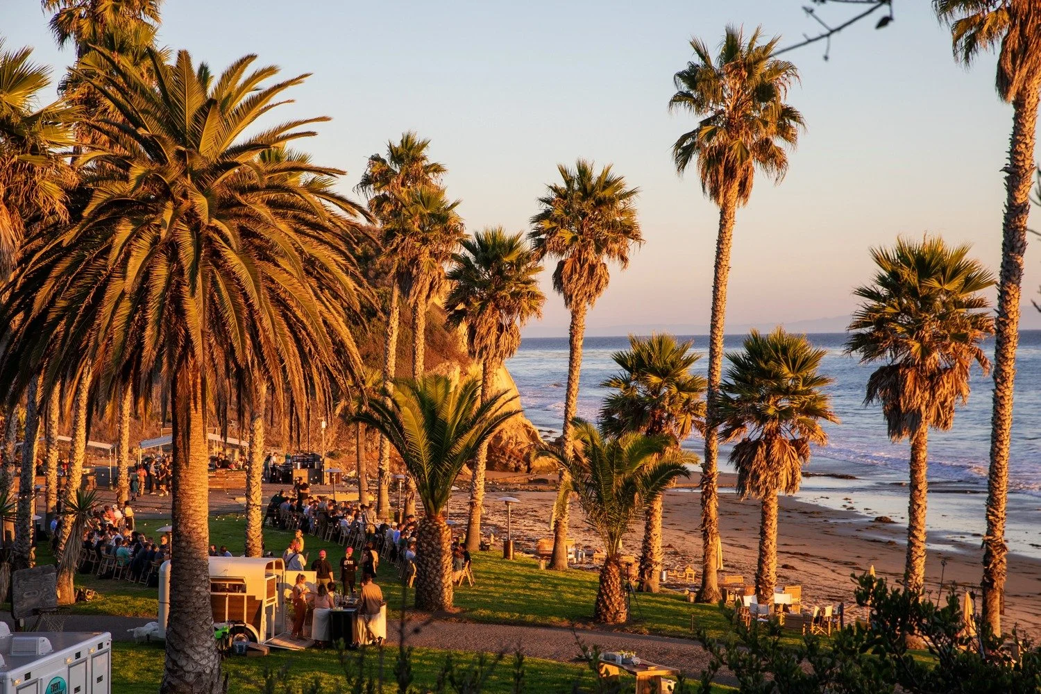 Golden hour palm tree beachside setting for luxury corporate event, California — Grove Projects