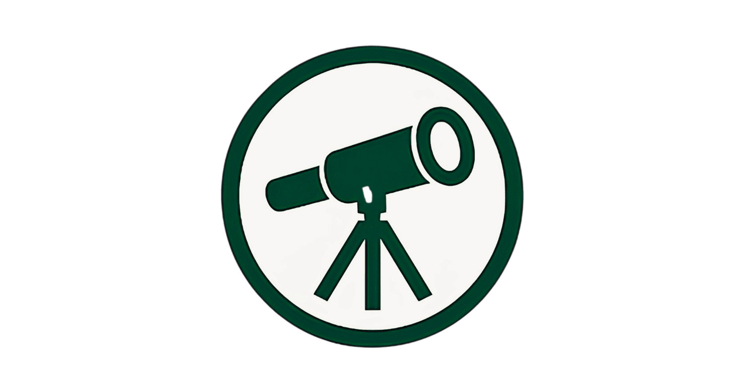 Foresight Strategies