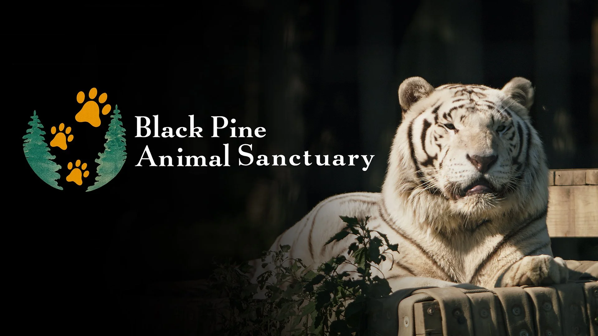  Black Pine Animal Sanctuary | Albion, Indiana