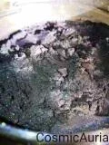 Labradorite 1.webp
