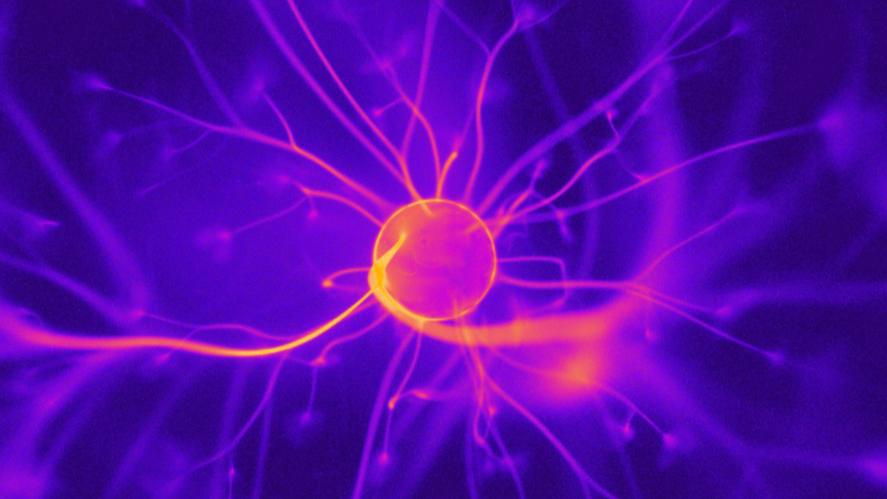 The Neuroscience of Parts Work: Why It’s Different from Mindset Coaching