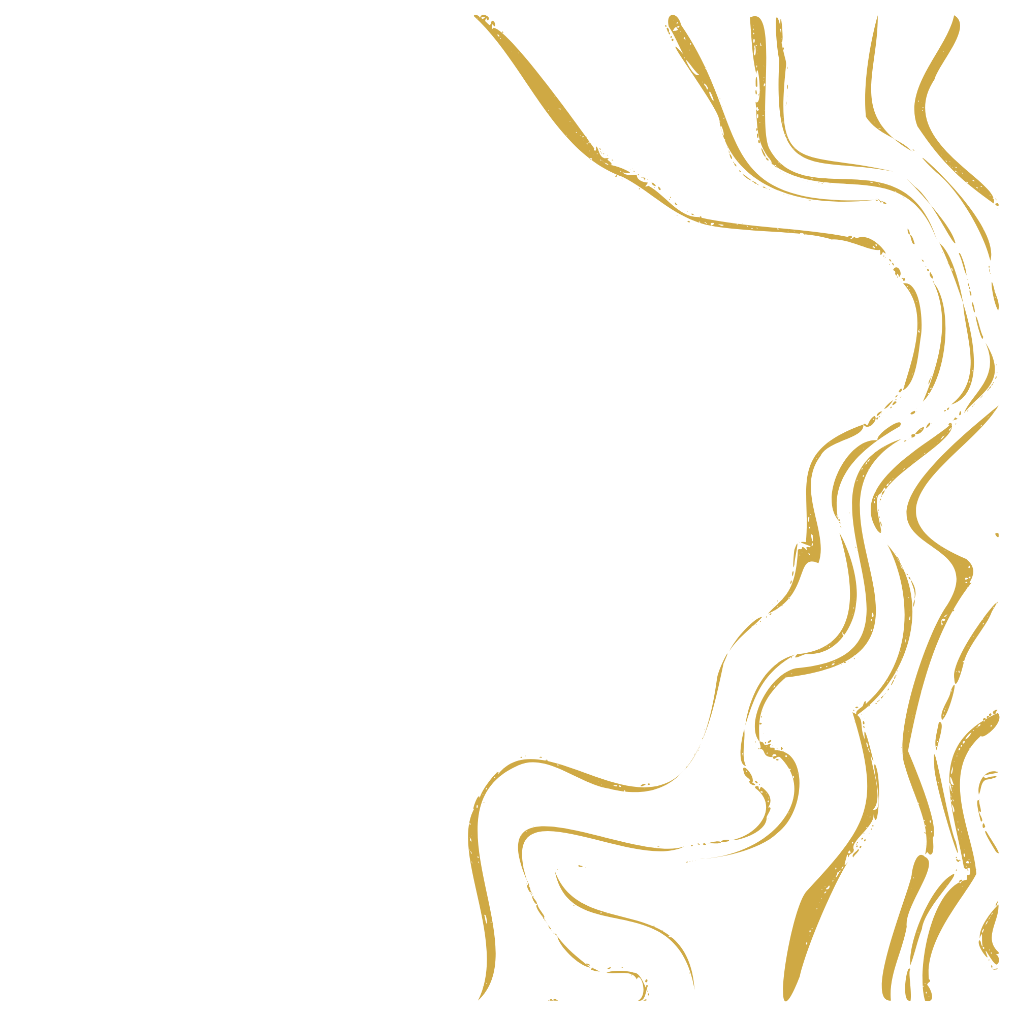 Gold abstract flowing lines and curves