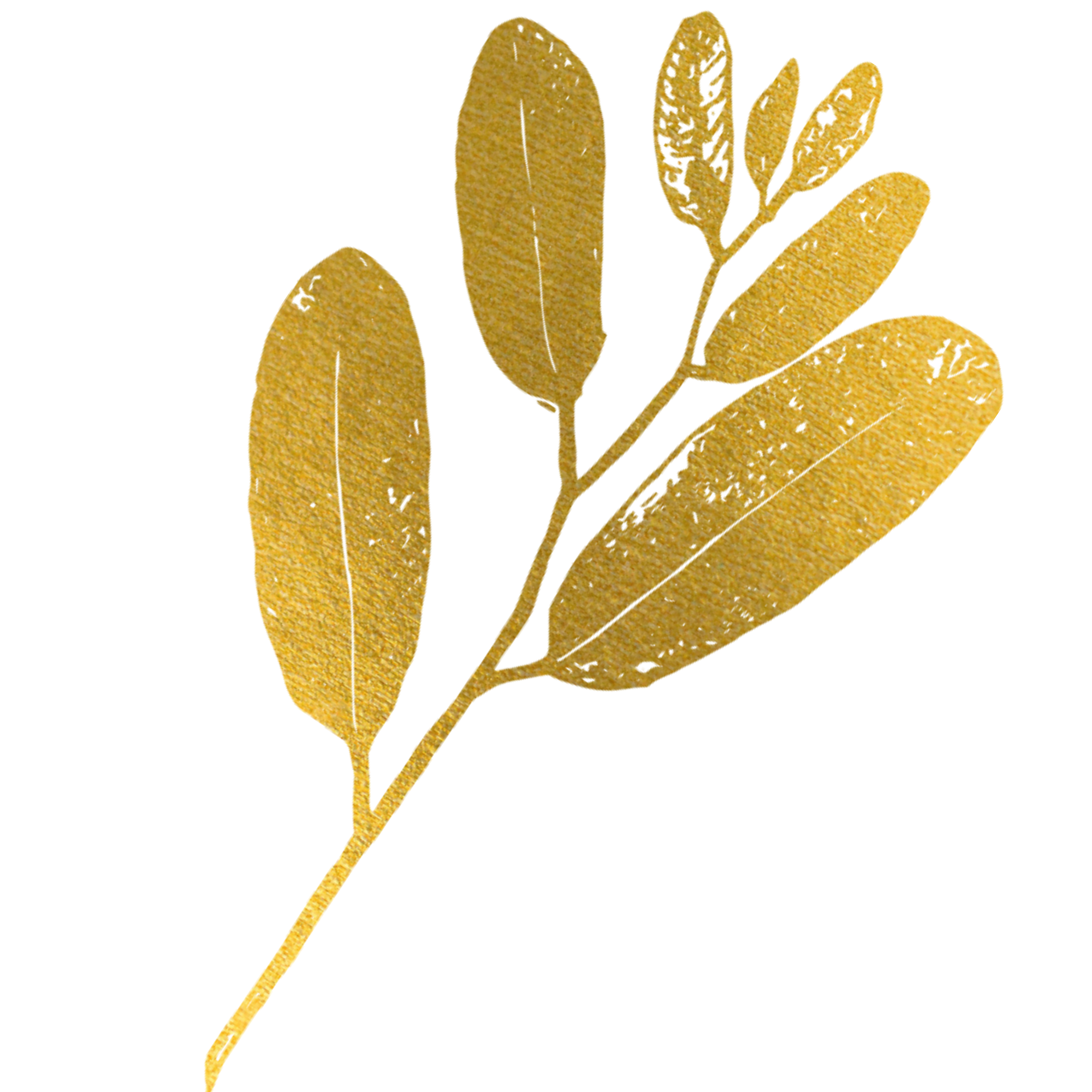 A gold, abstract leaf and branch.