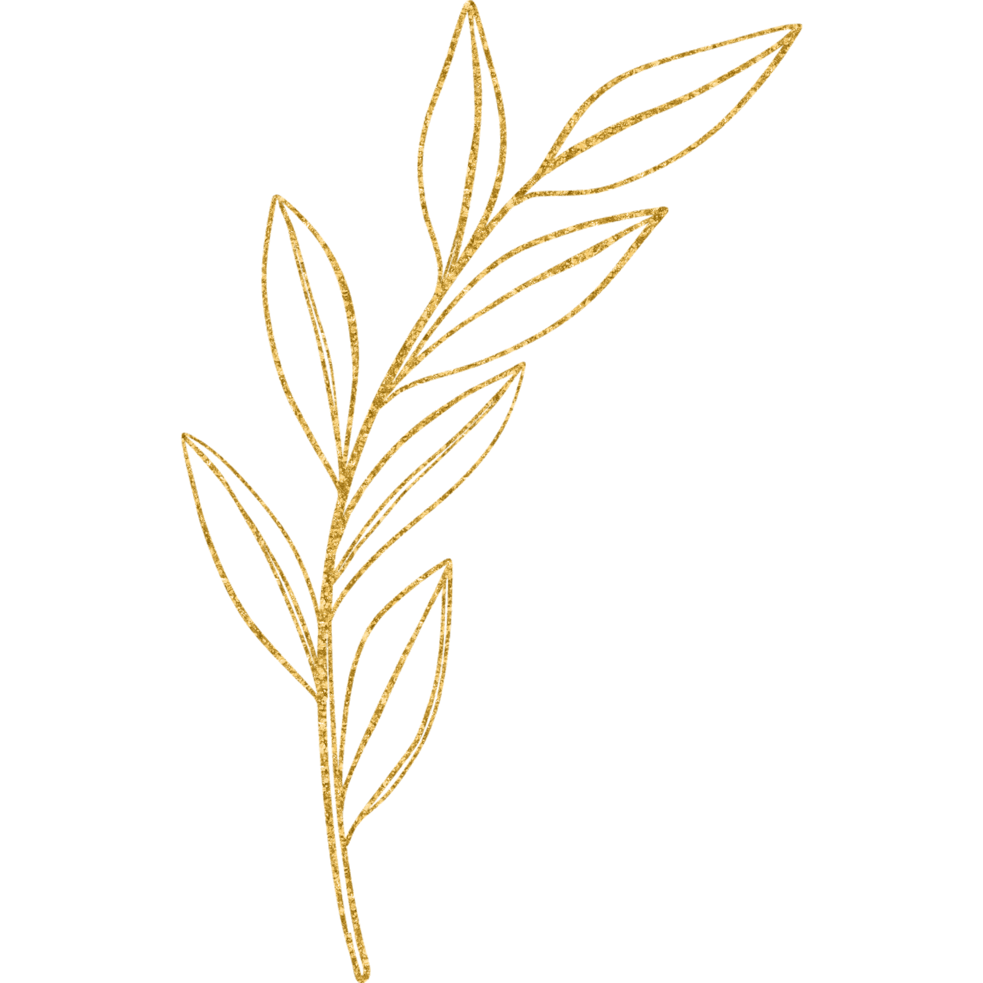 Gold glowing outline of a plant with multiple leaves on a black background.