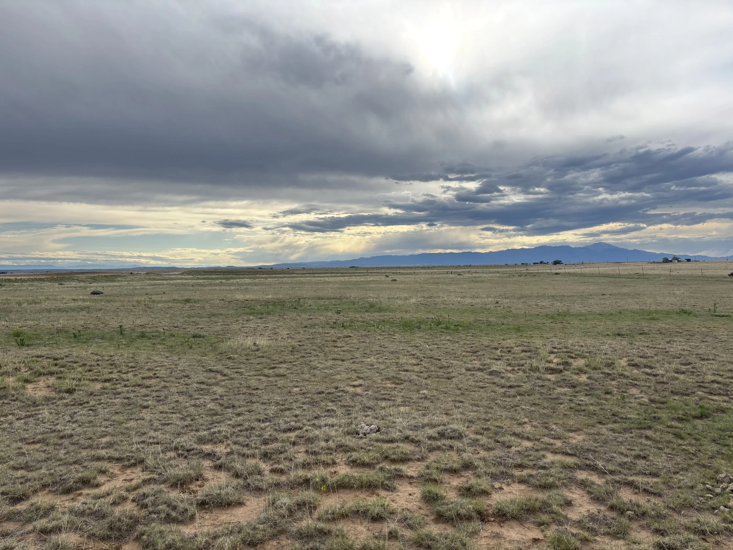 A vast open landscape with dry grass and small plants, a fence in the distance, mountains on the horizon, and a cloudy sky overhead.