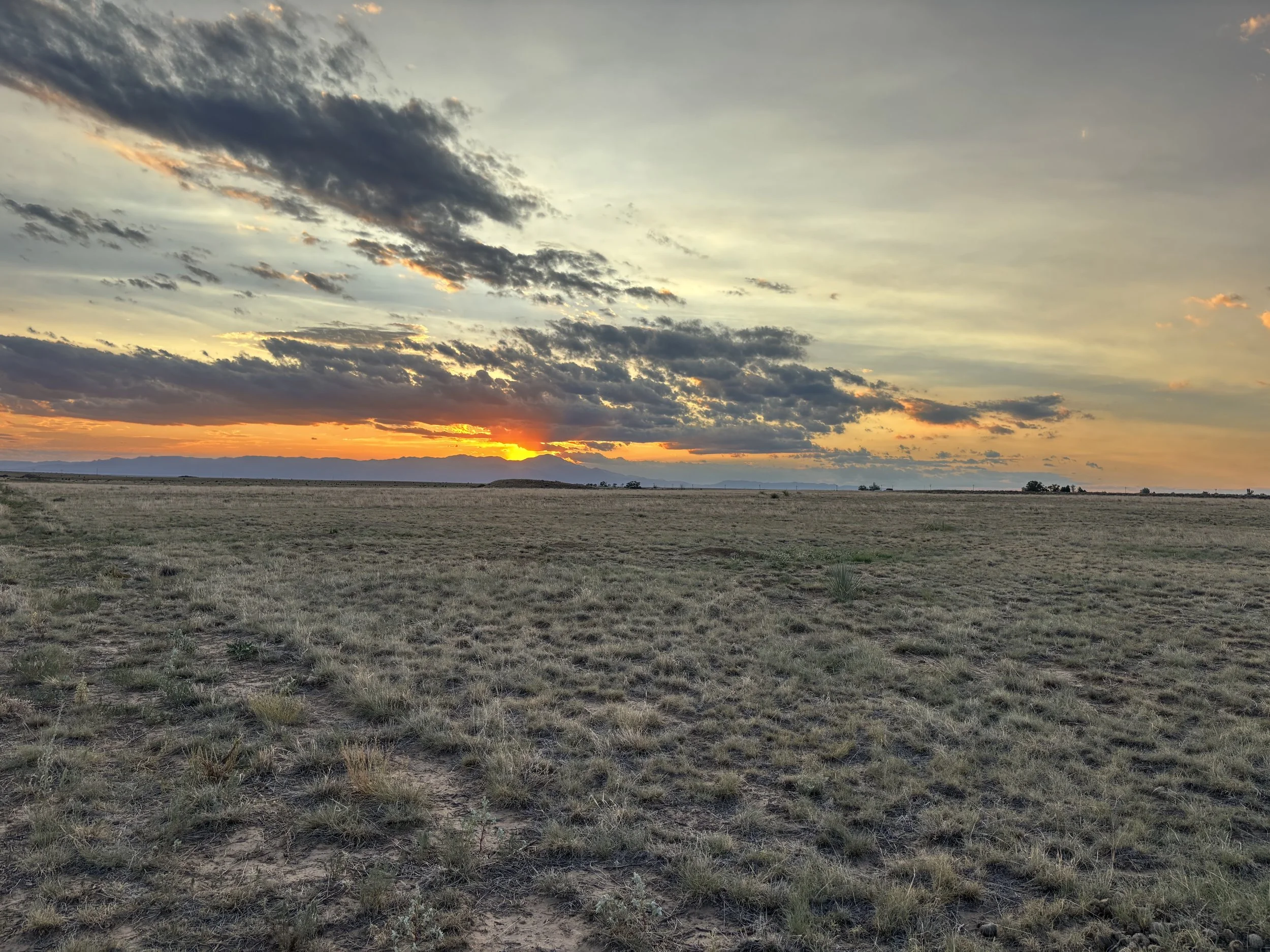 A vast open field with dry grass under a colorful sunset sky with scattered clouds, and mountains visible in the distance.
