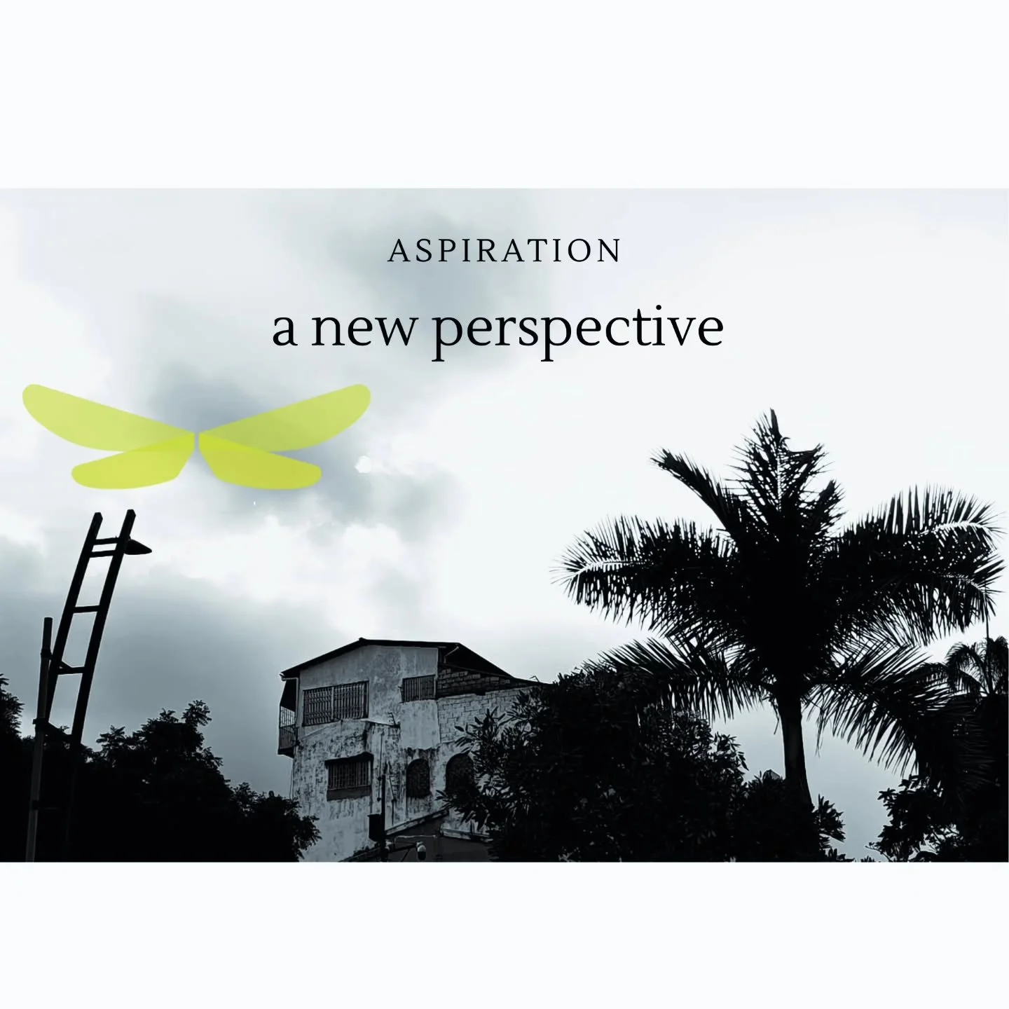 at each step..possibilities await #fourwinged #visualization #aspire #individualcoaching