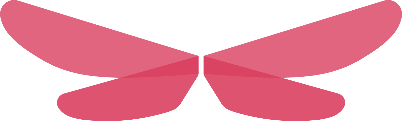 A pink dragonfly with symmetrical wings.
