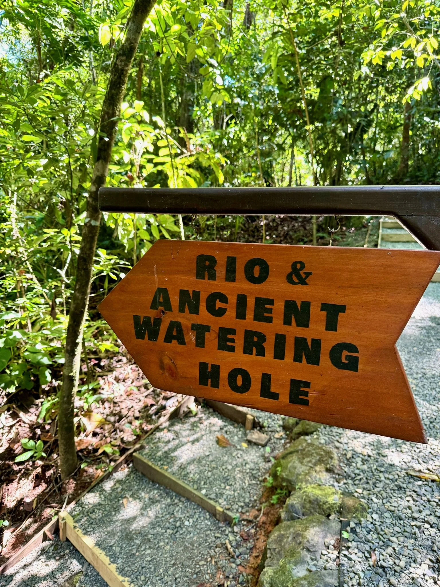 Imiloa Institute Watering Hole