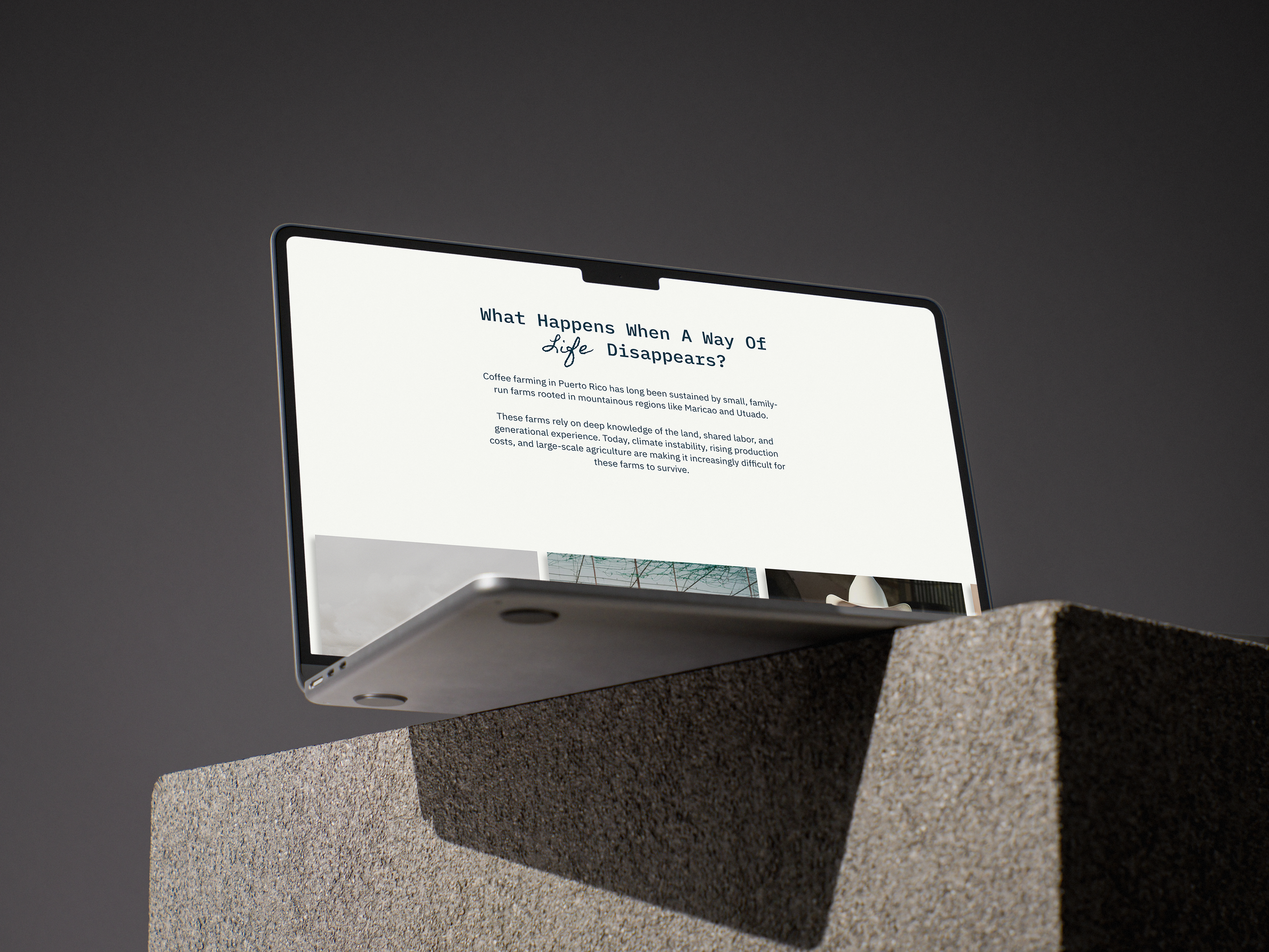 83dd957b-46d7-49ec-b0ae-6cae51b3772d_rw_3840.png