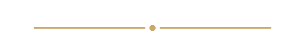 A minimalistic horizontal line with a small circle in the center and two parallel lines extending from each side of the circle.