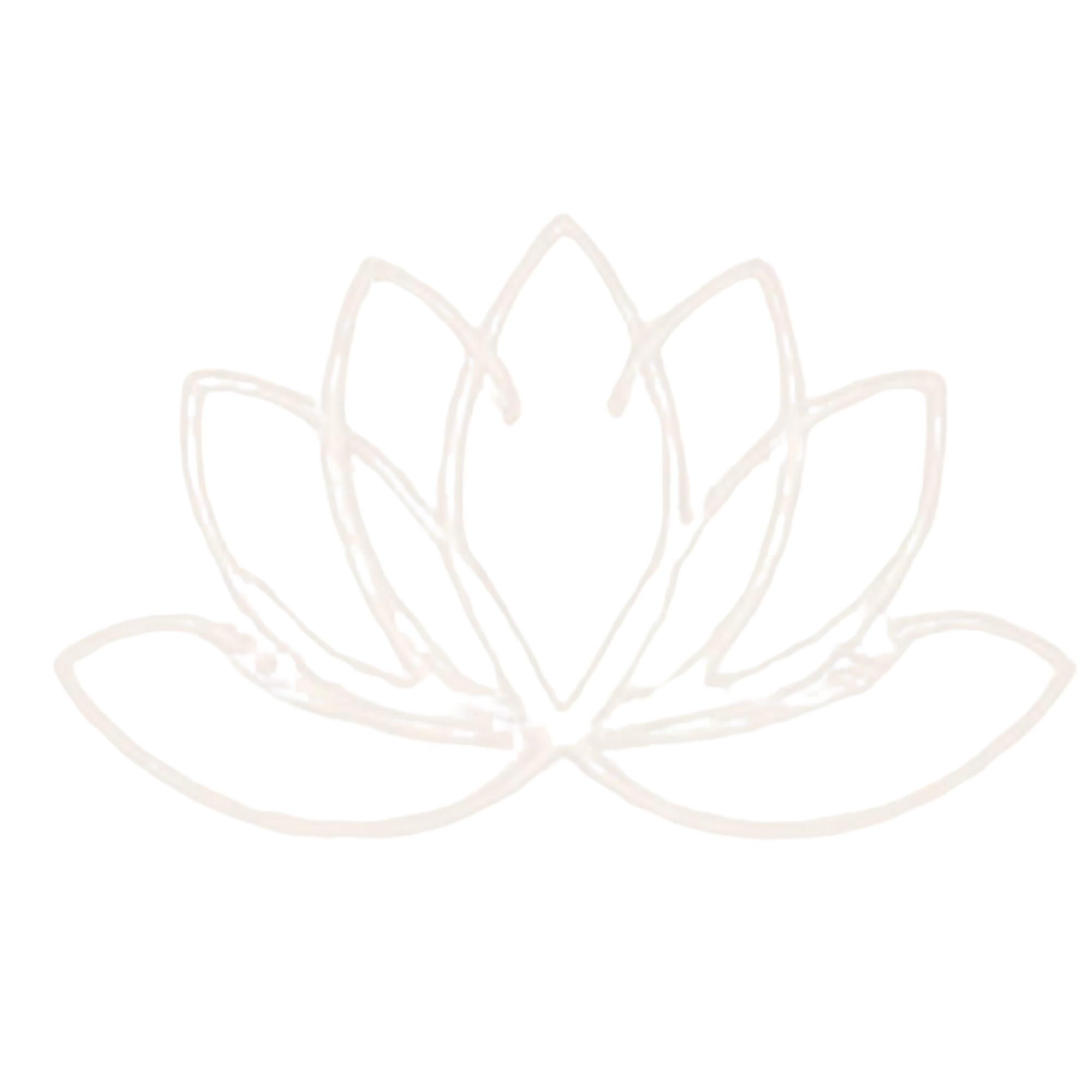 Close-up of a pink lotus flower with green leaves on a black background.