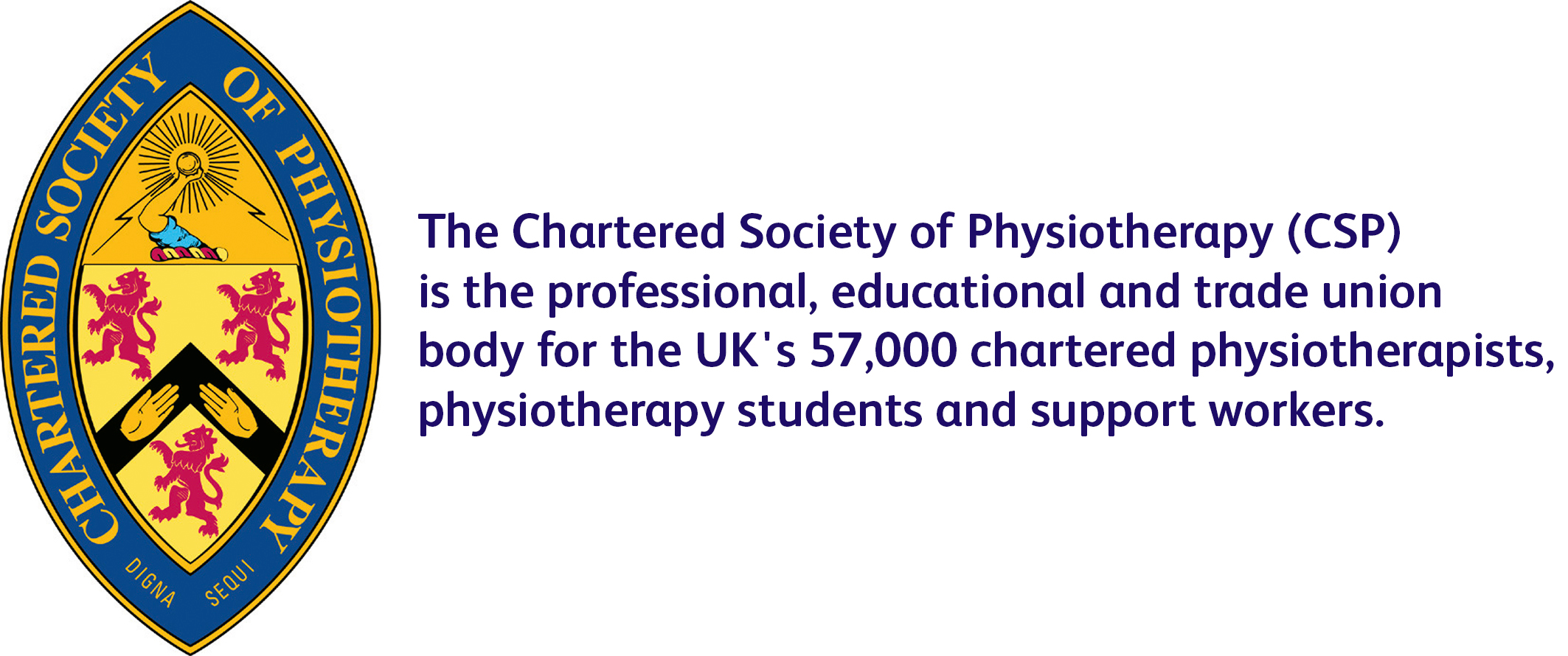 Chartered Society of Physiotherapy member badge, Daniel Arias Ruiz