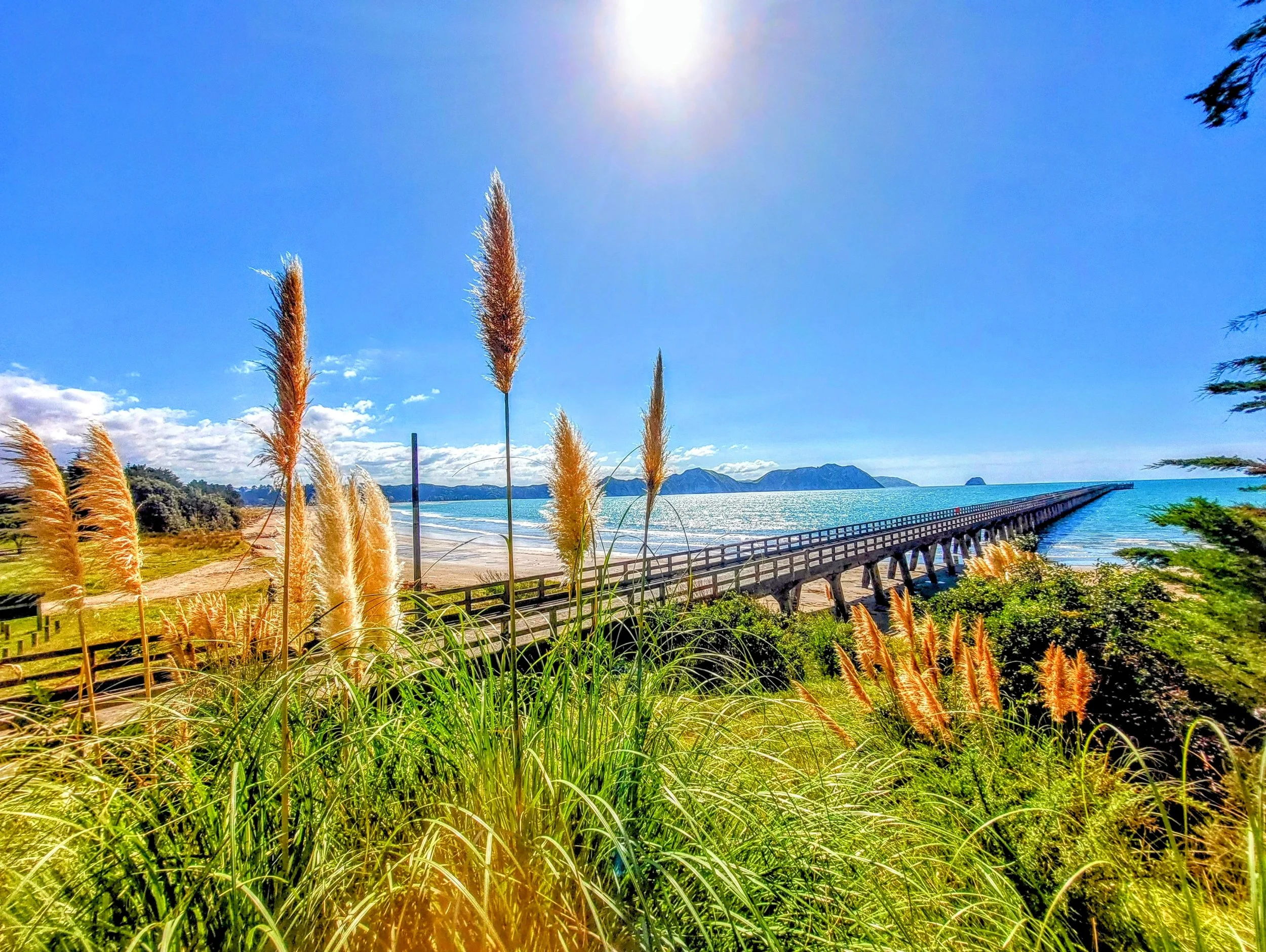Caleb Thompson - Tolaga Bay
