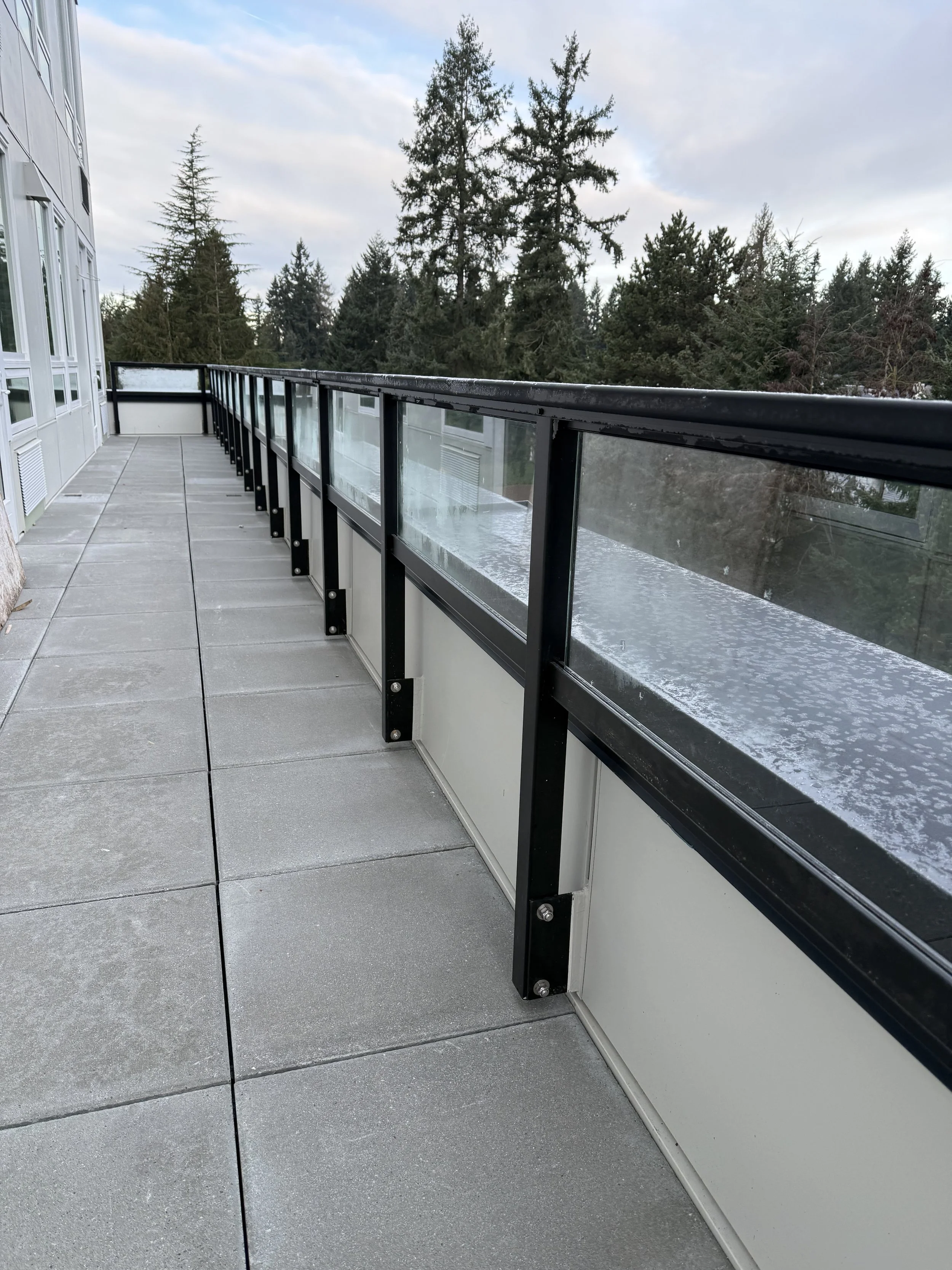 Balcony with glass and metal railing overlooking a wooded area with tall evergreen trees under a cloudy sky.