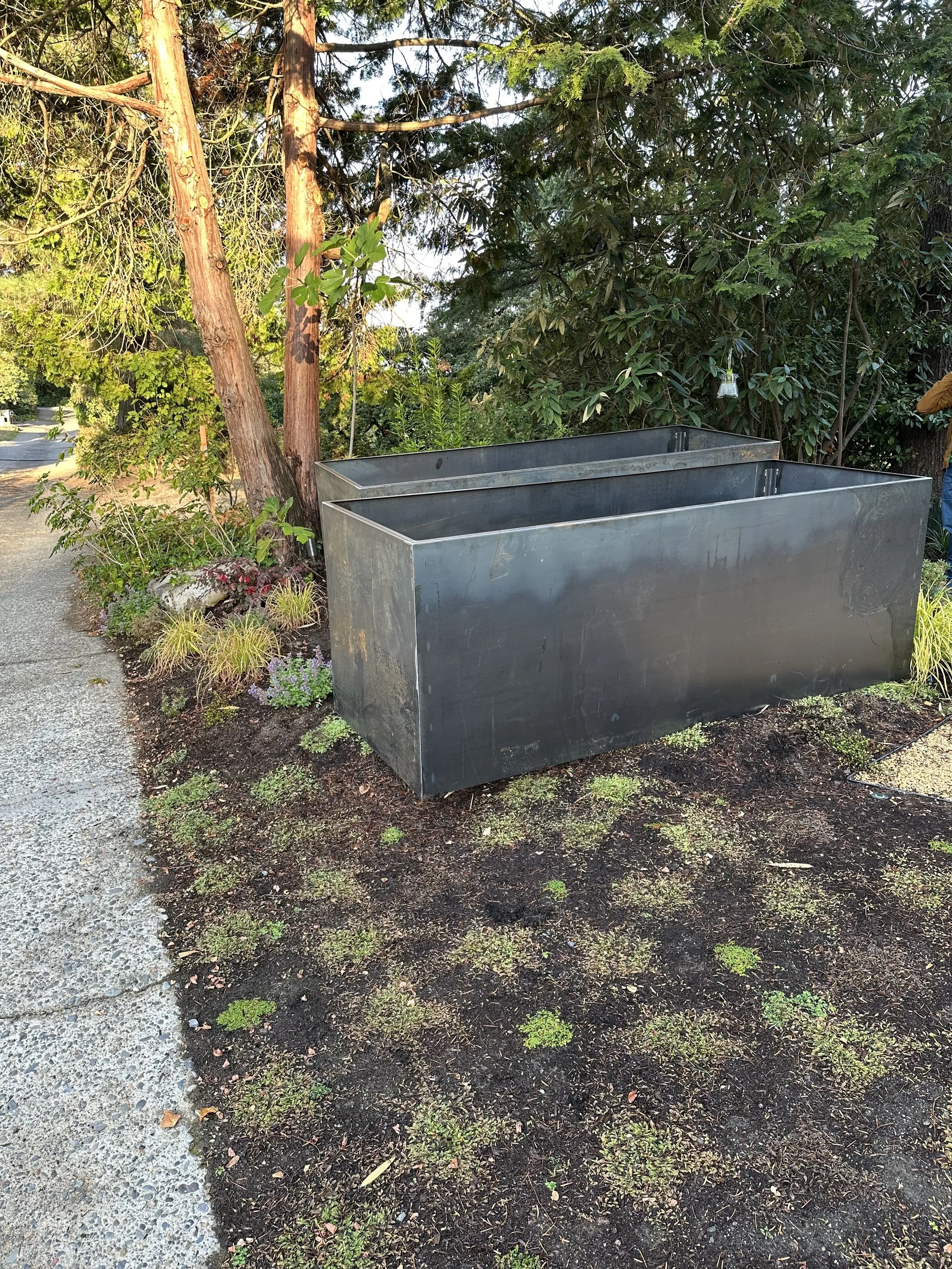 A large, empty metal planter box on soil in a garden area, surrounded by small plants, with trees and shrubs in the background.