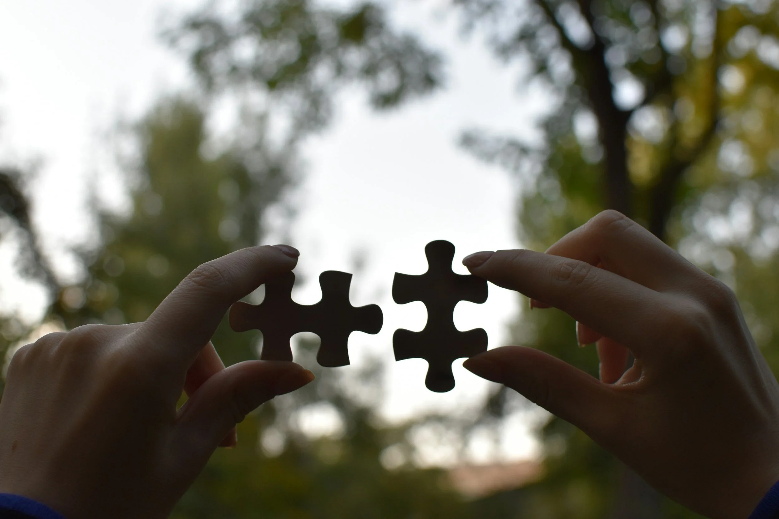 Two hands holding a partially assembled jigsaw puzzle piece against a blurred outdoor background with trees.