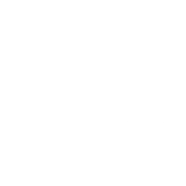 WANDERER x Northern Lite Tour