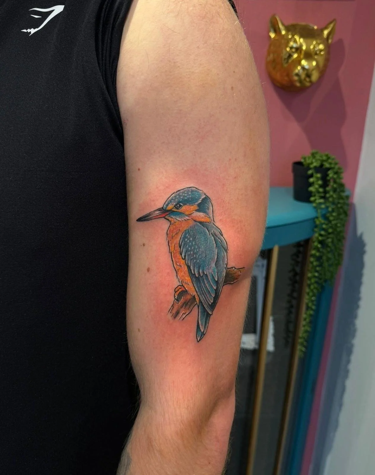 Colorful tattoo of a kingfisher bird perched on a branch on person's upper arm.