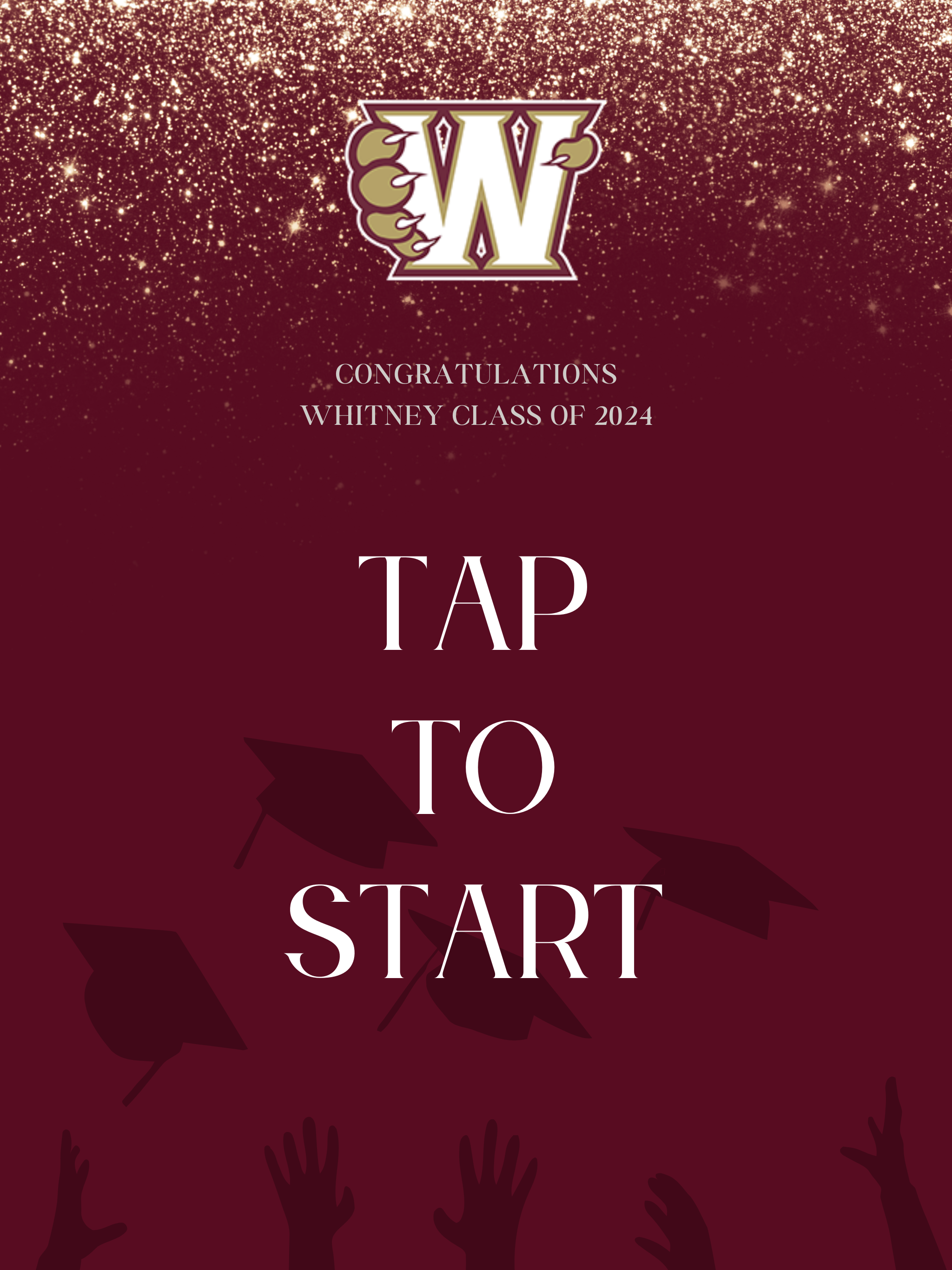 Graduation Sparkles