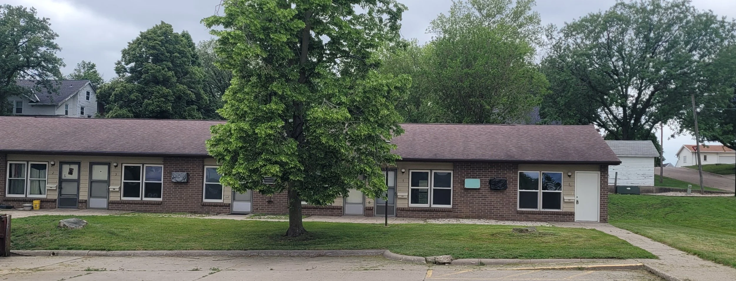 A row of brick apartment units with multiple windows and doors on a grassy lawn, with a large green tree in front and other trees and houses in the background.