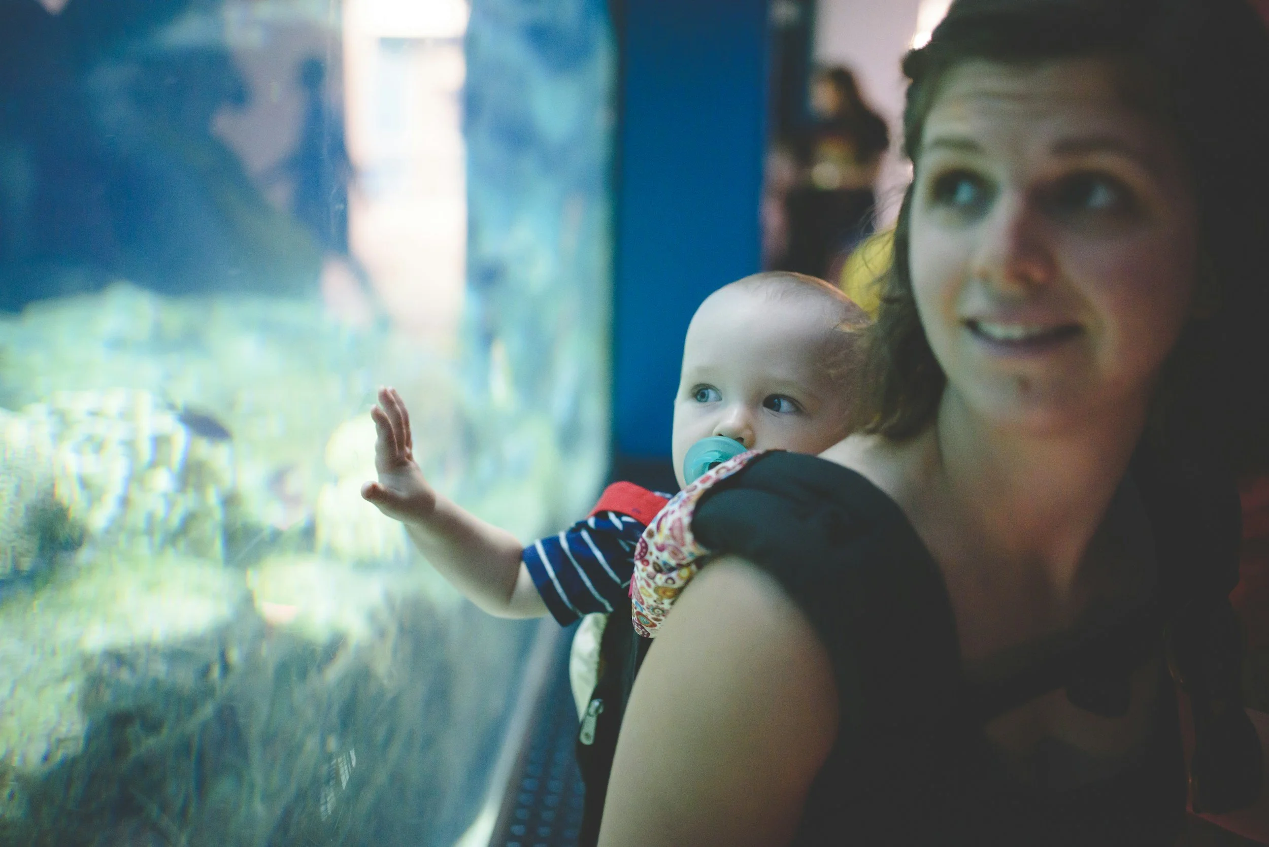 A woman with dark hair holding a young child with light hair and a pacifier, both looking at an aquarium tank. The child's hand is pressed against the glass.
