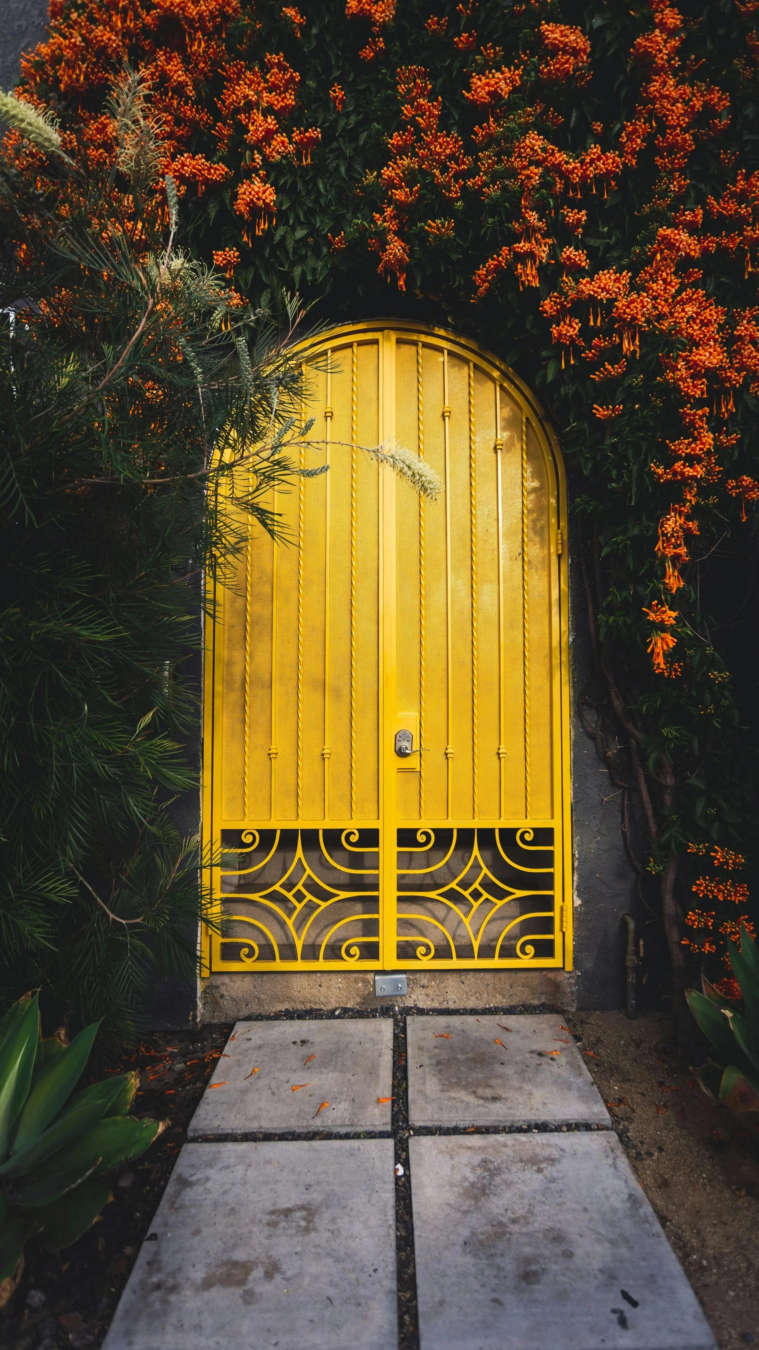 An arched yellow door under blooming vines