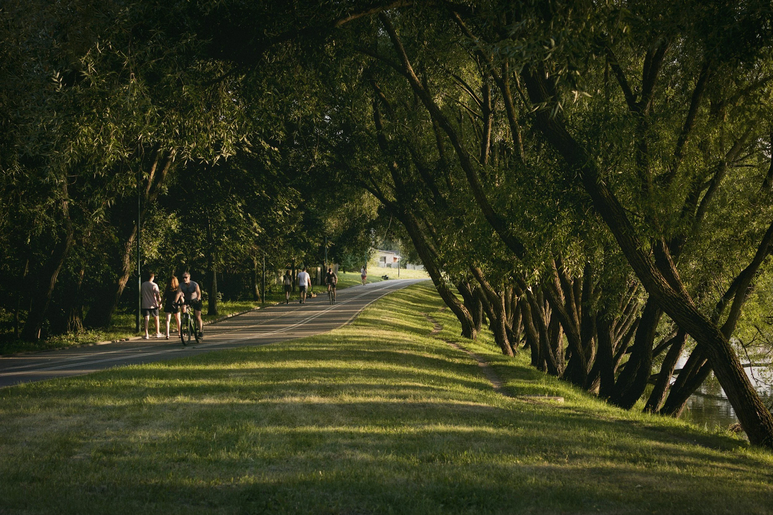 a biking path with walkers and bikers enjoying a sunny day at a park