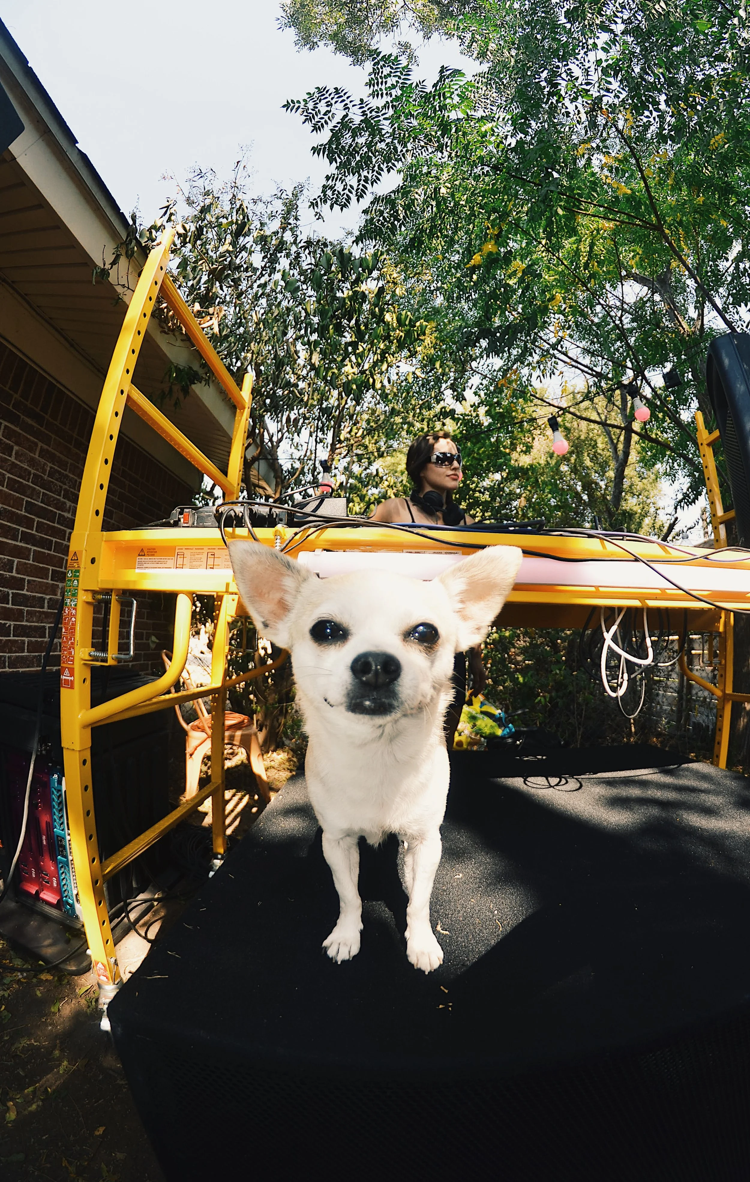 FullSizeRender_VSCO 4 8.37.12 PM.JPG