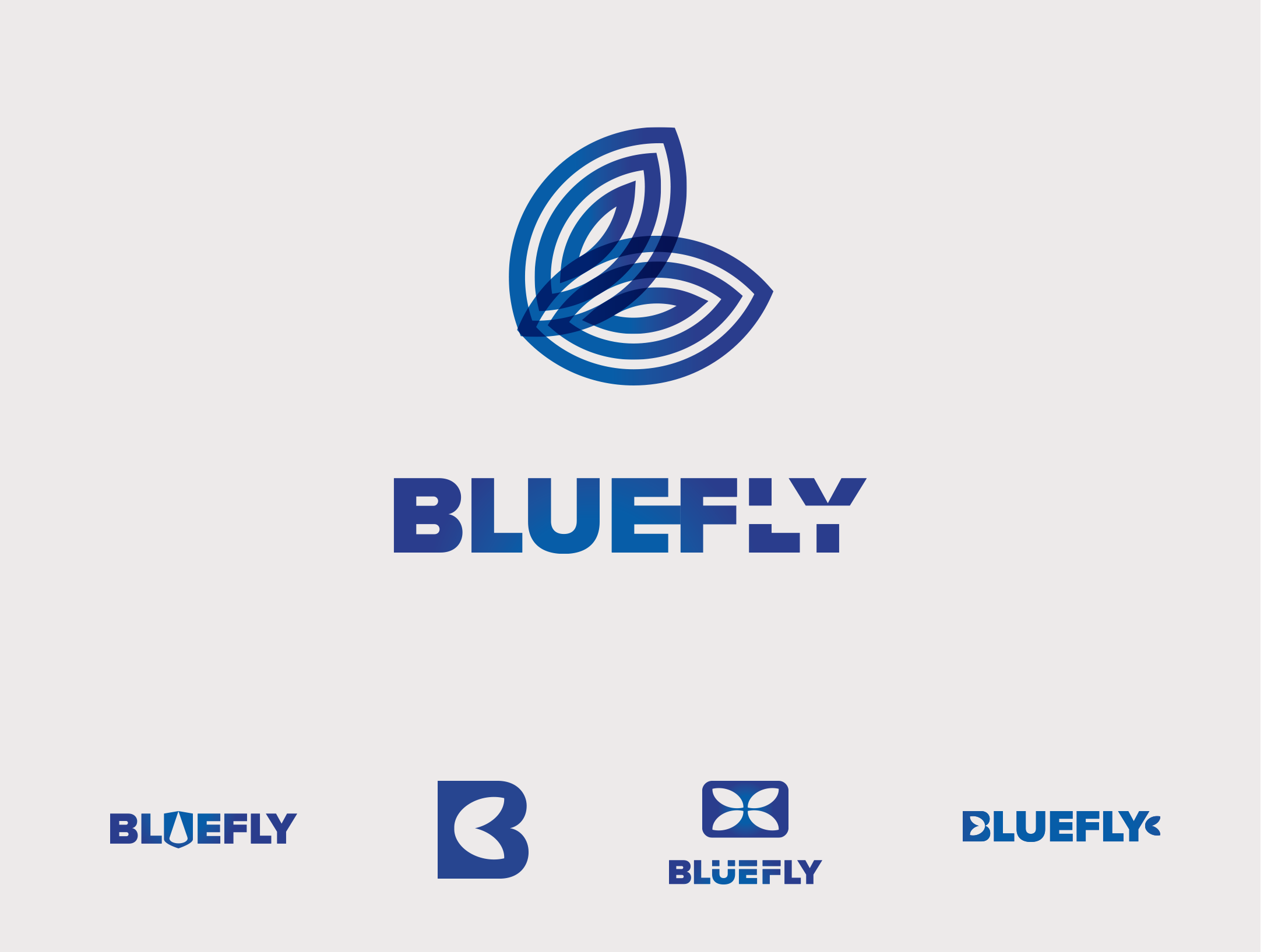 BllueFly Security Systems logo concepts