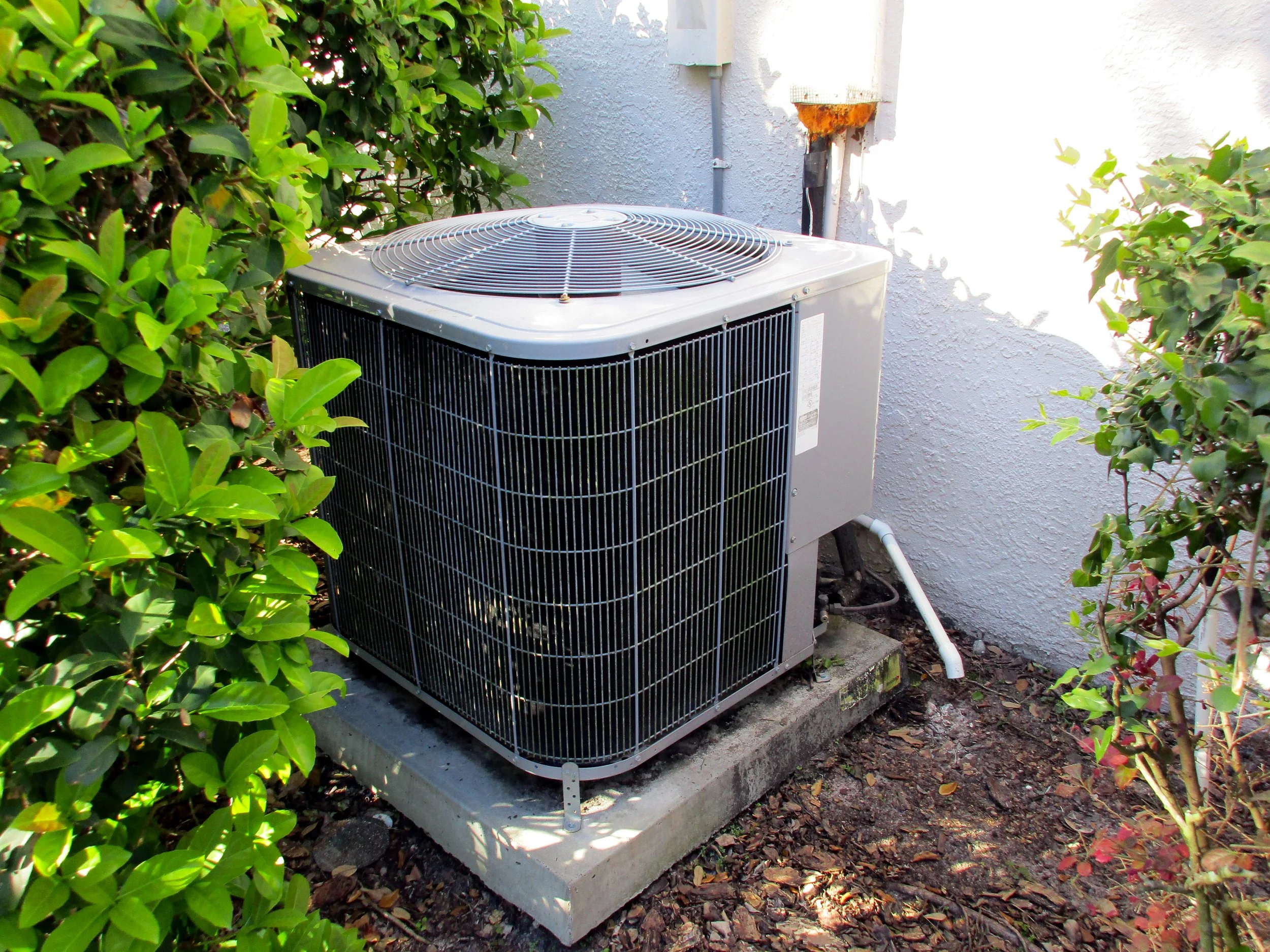 An outdoor air conditioning unit positioned on a concrete slab next to a white textured wall, surrounded by green shrubbery and small plants.