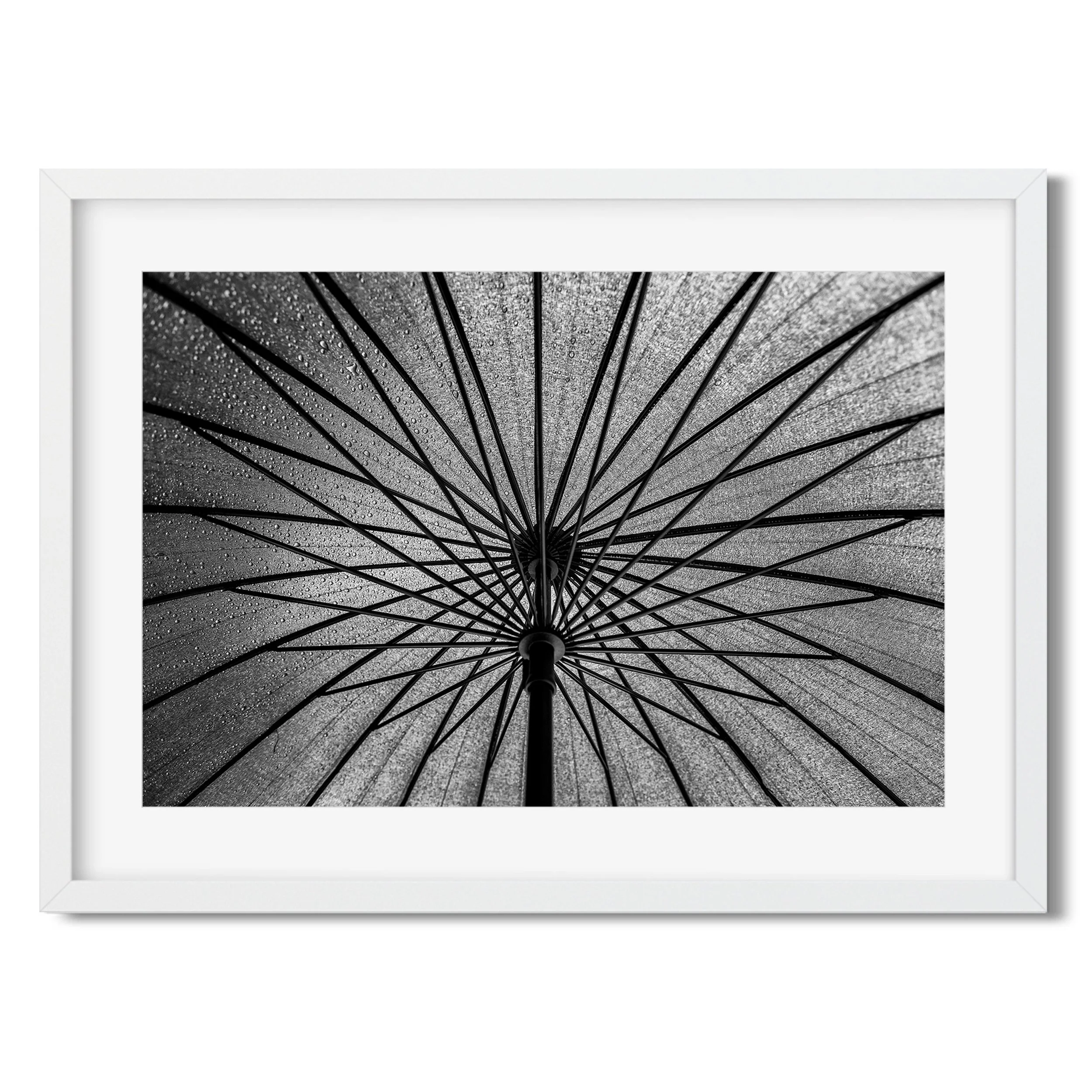 Umbrella Brooklyn - Black and White New York City Architecture Photography Fine Art Print