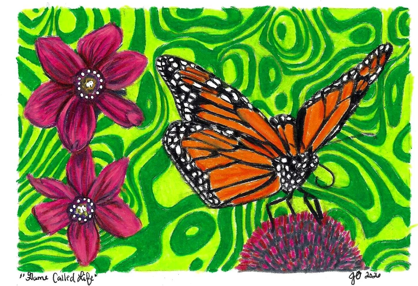 Monarch Butterfly
