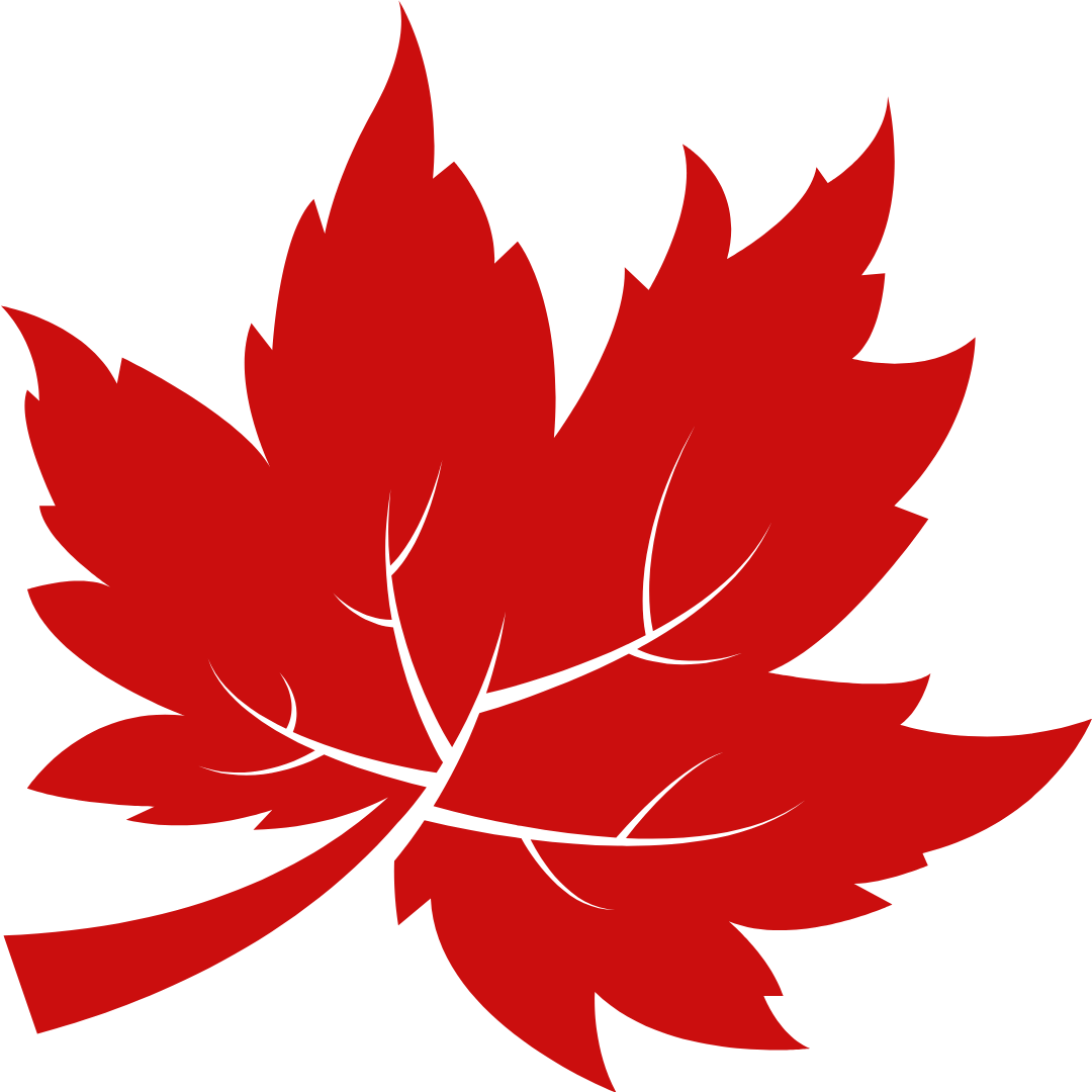 Red maple leaf illustration with black veins on a black background.