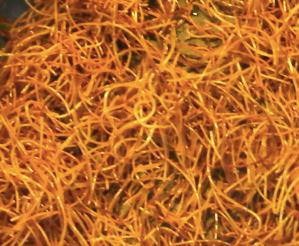 Fideos (Mexican Lokshen)