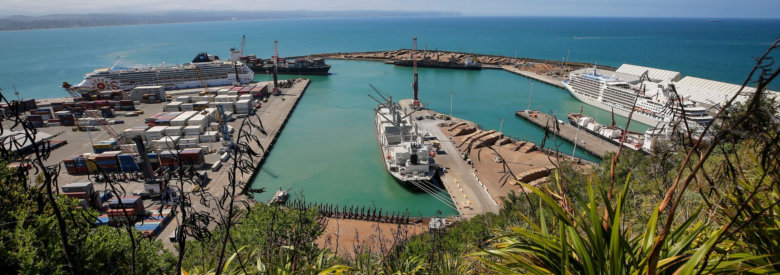 Napier Port view from Napier Hill, showing container terminal, cruise ship and cargo vessels