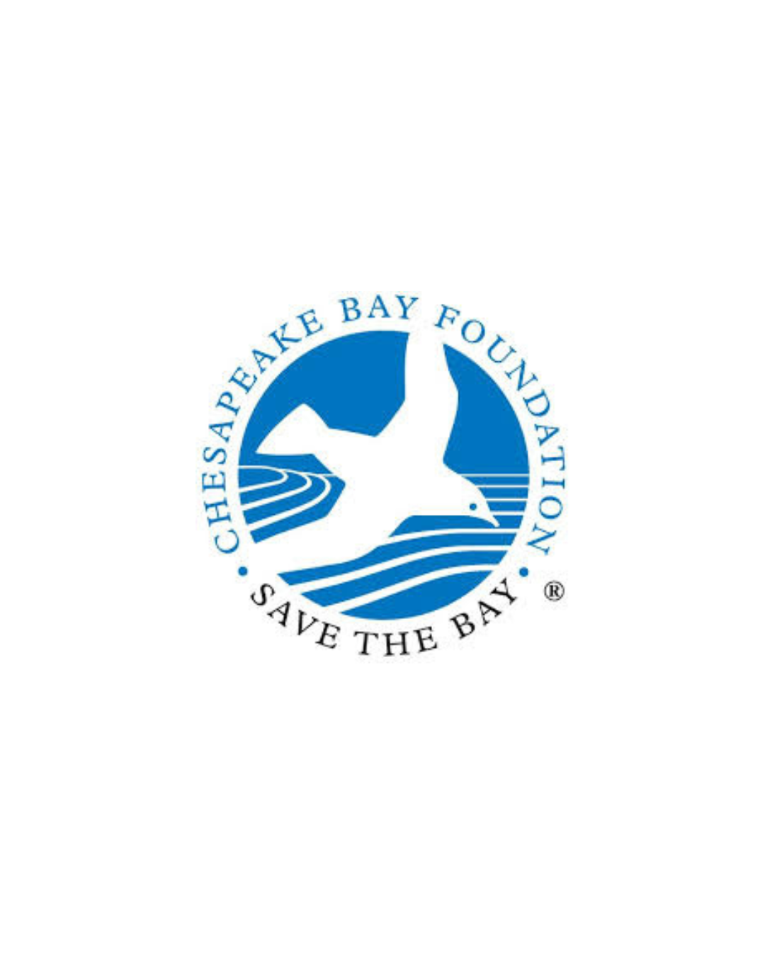 New Study Links Starving Chesapeake Bay Osprey to Menhaden Woes