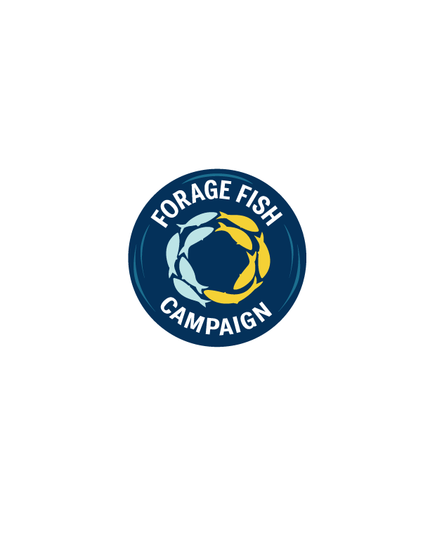 Forage Fish Campaign Launches "Where's the Bait?" Tour Across East Coast to Spotlight Coastal Businesses Impacted by Industrial Forage Fishing