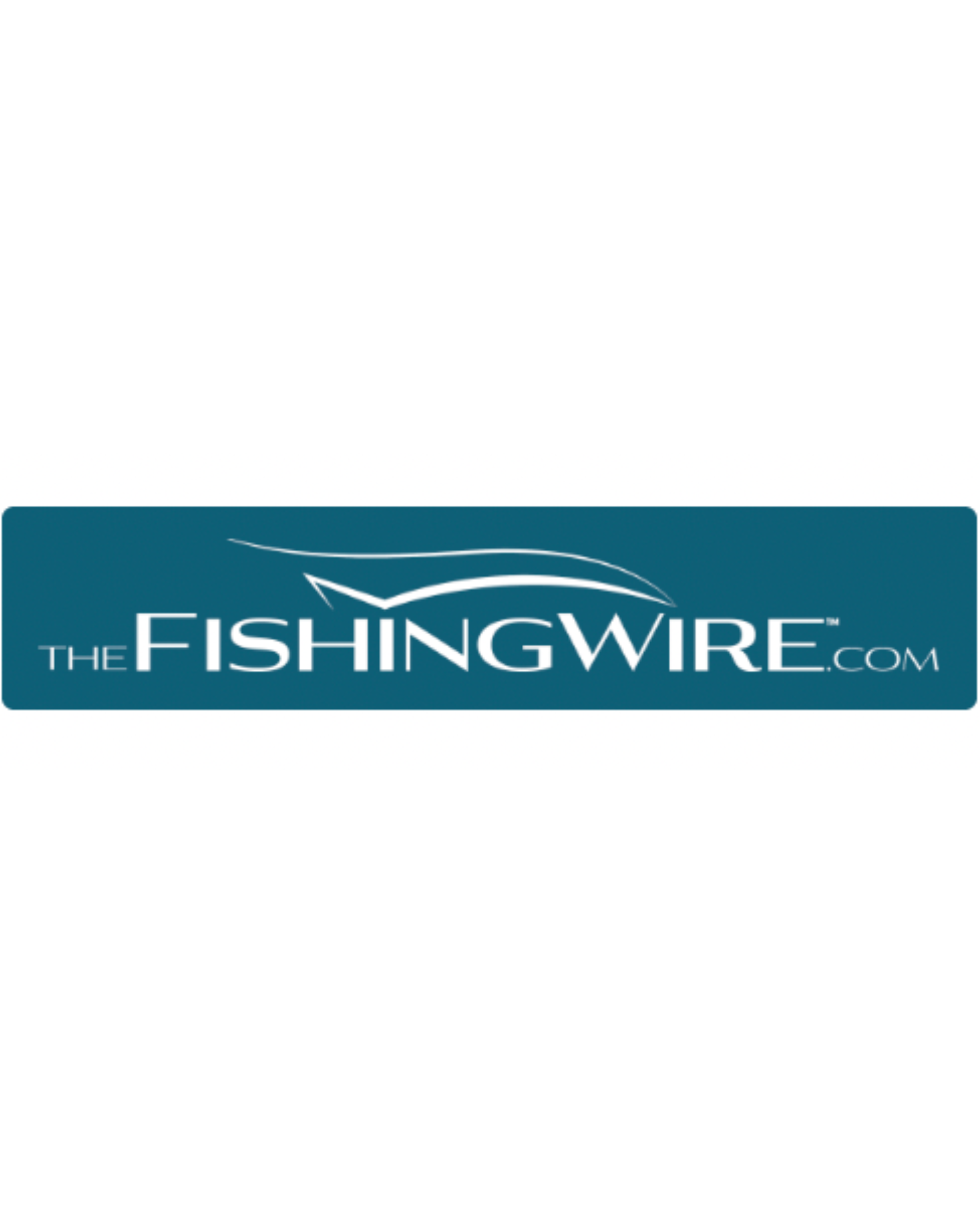 Protecting Forage Fish Is a Conservation Home Run