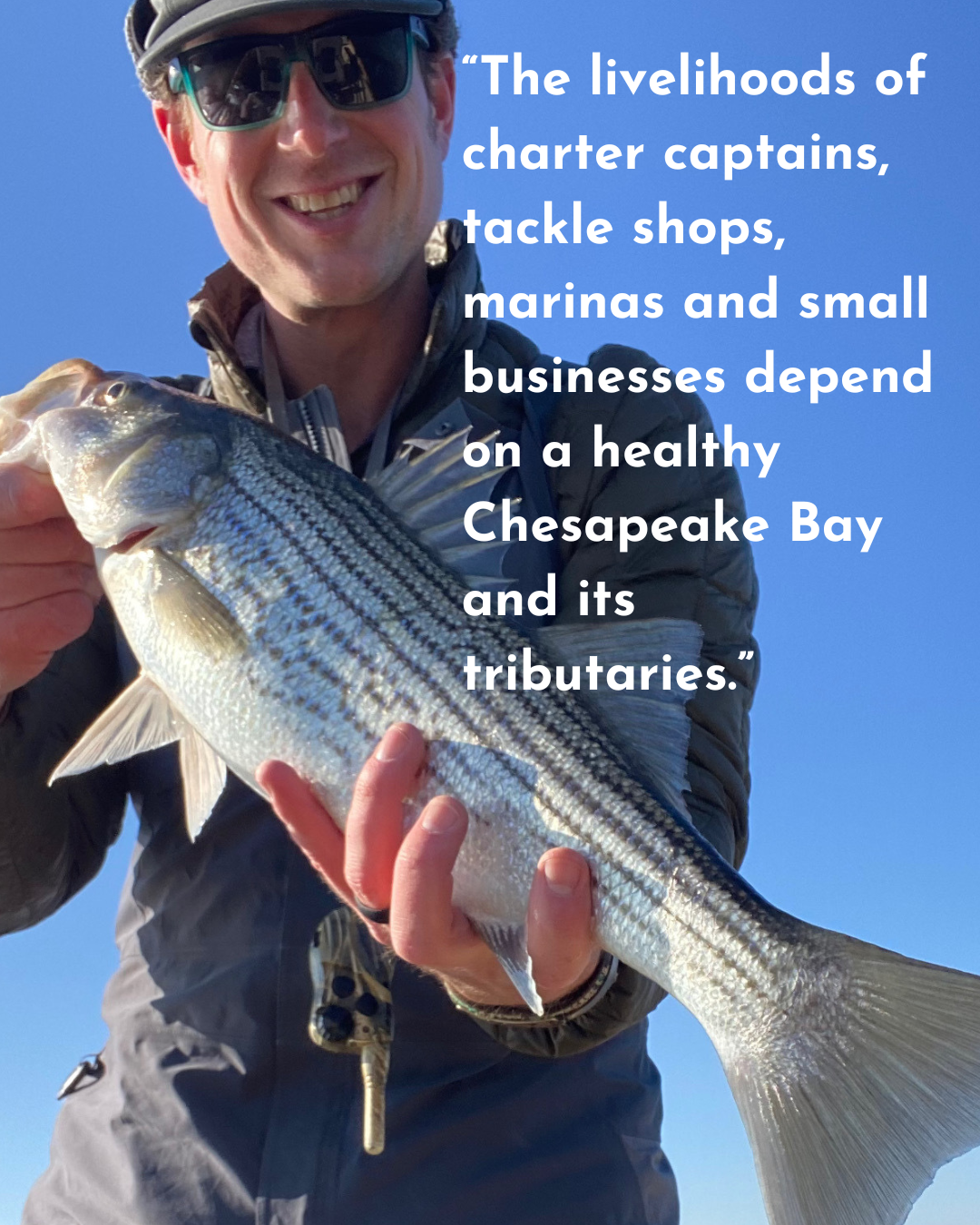 Warning Signs — The Forage Fish Campaign