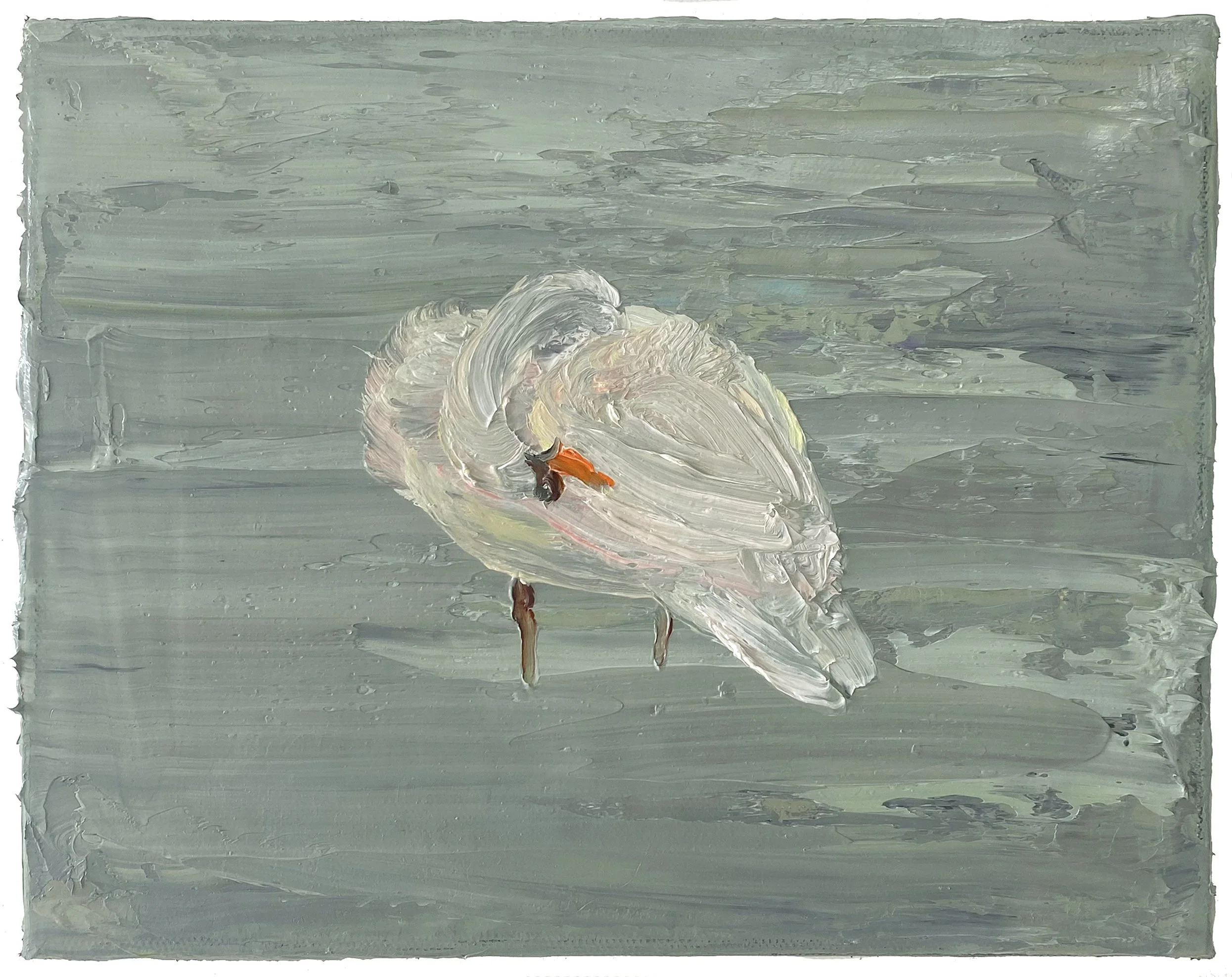 A Swan, 2026. Oil on canvas, 20 x 25 cm