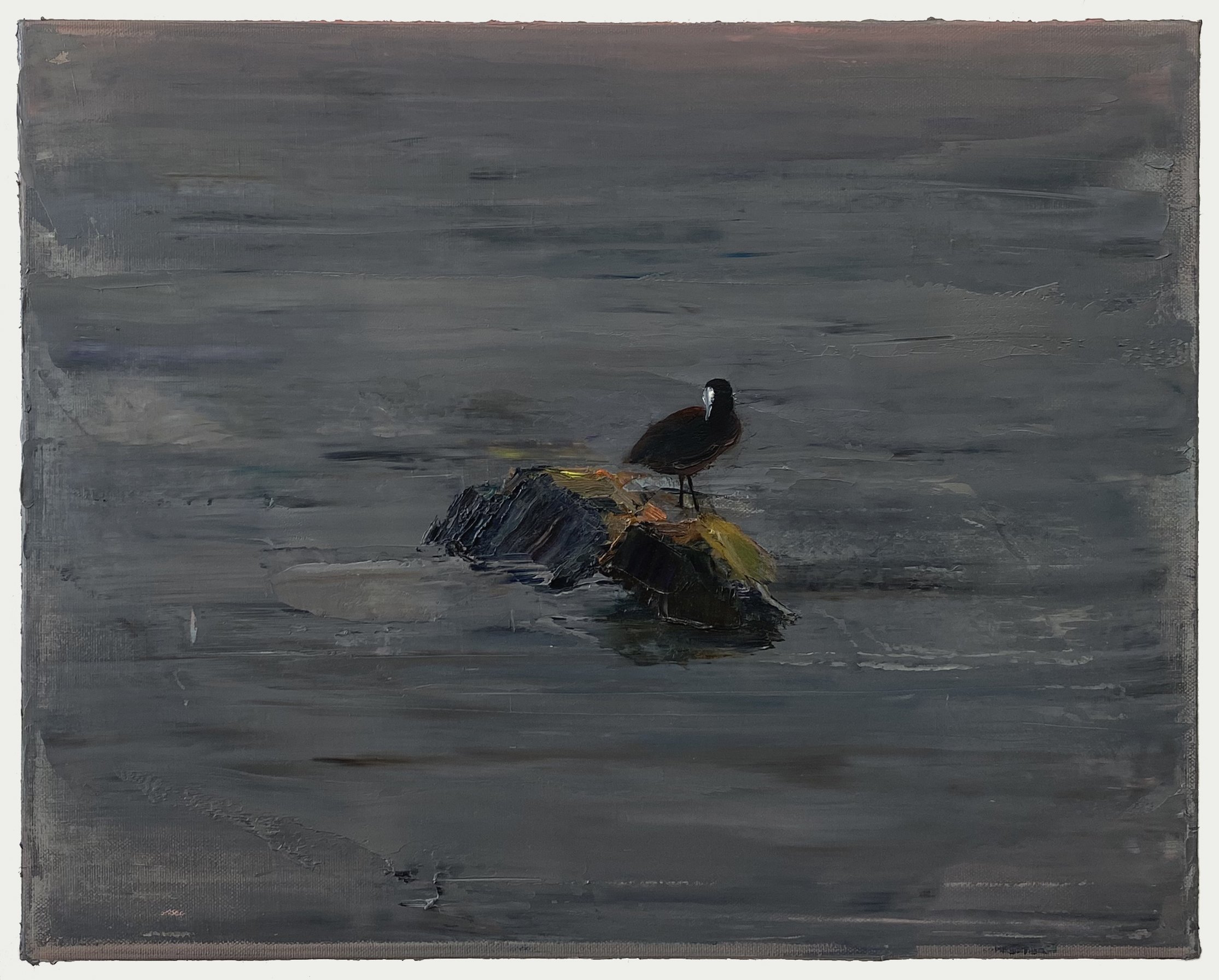 Twilight, 2026. Oil on canvas, 40 x 50 cm