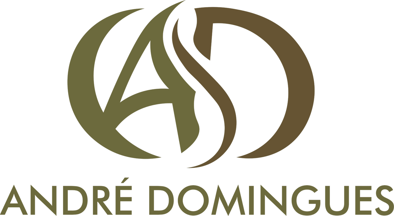 André Domingues
