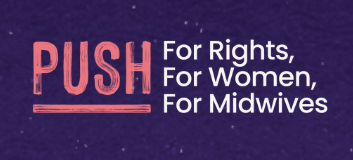 PUSH Campaign: Birthing While Black with Dr. Nikia Grayson