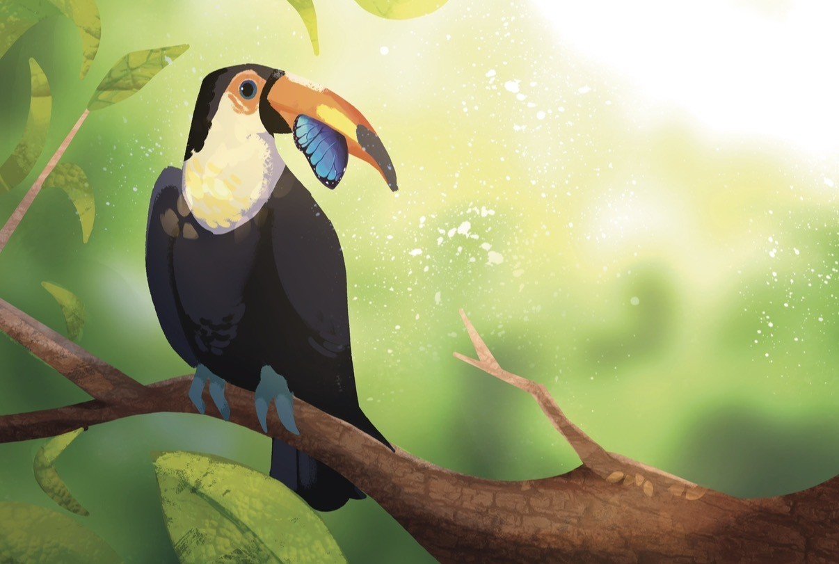 Ecosystem I: Toucan
2025