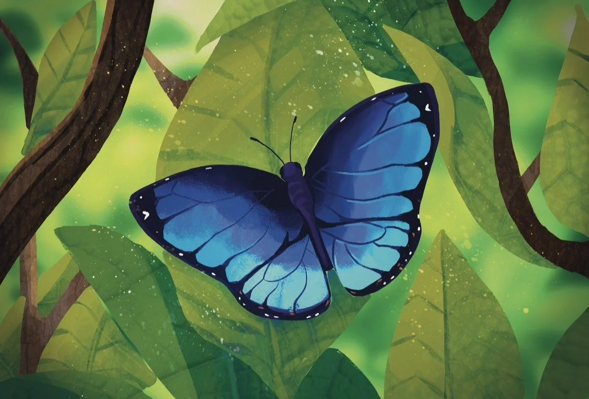 Ecosystem I: Morpho
2025