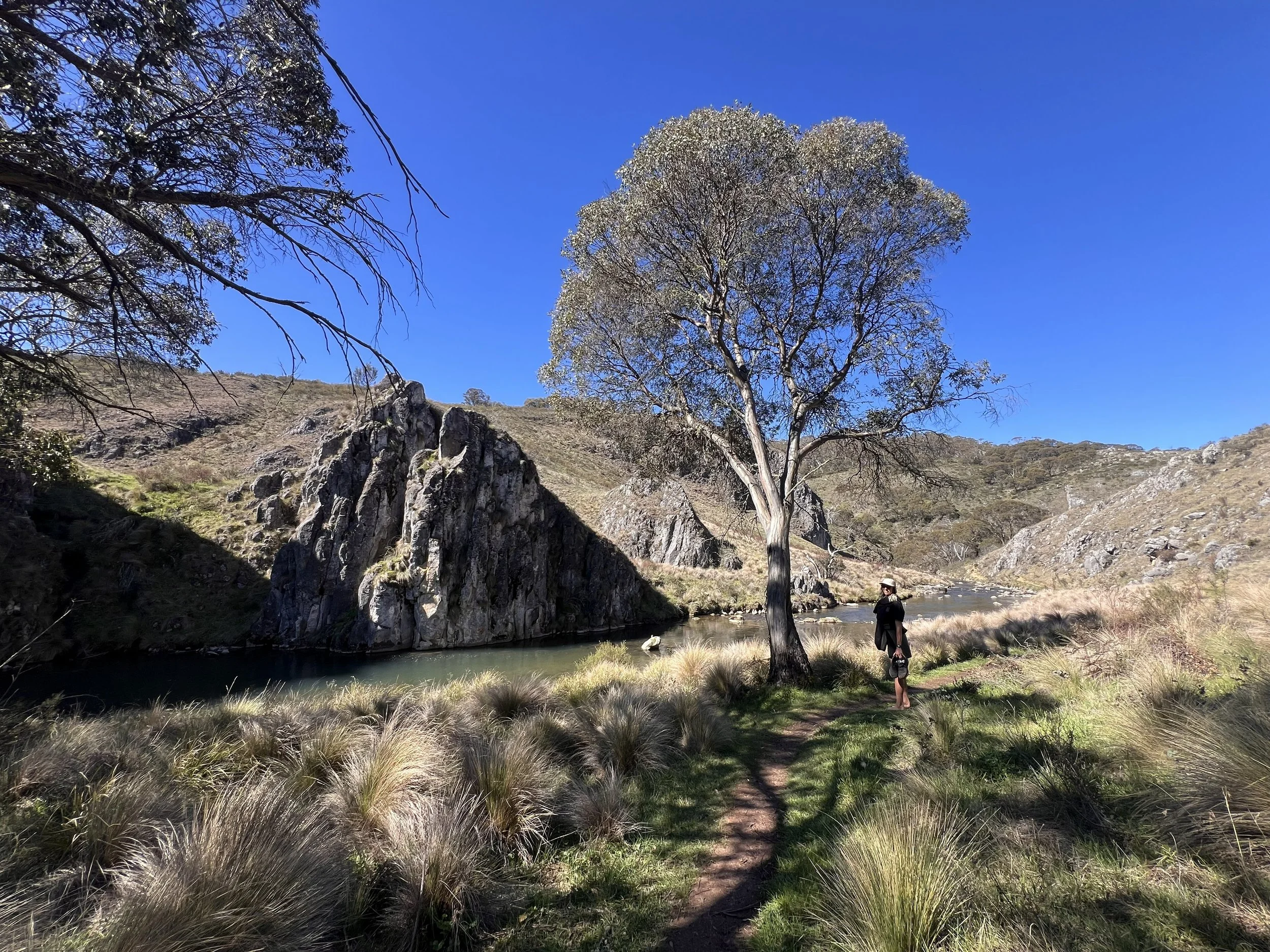 clarke gorge 2.jpg