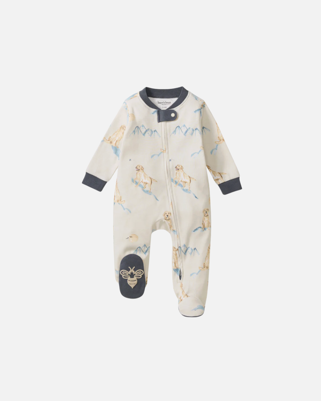 Untitled design (45).png