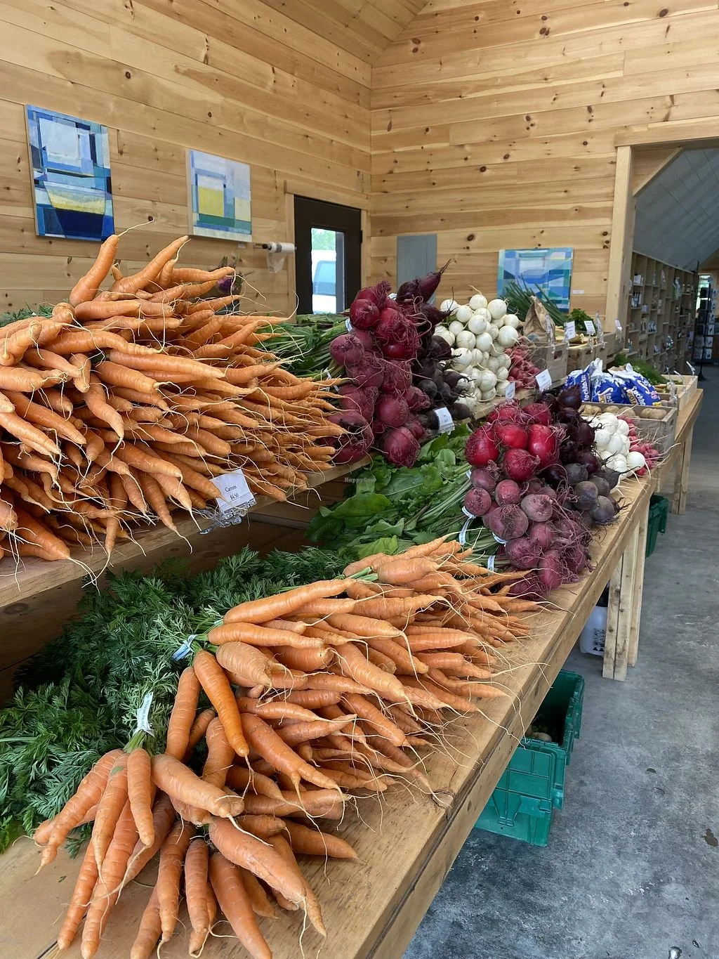 Why Beech Hill Farm Became One of Our Favorite Stops on Mount Desert Island